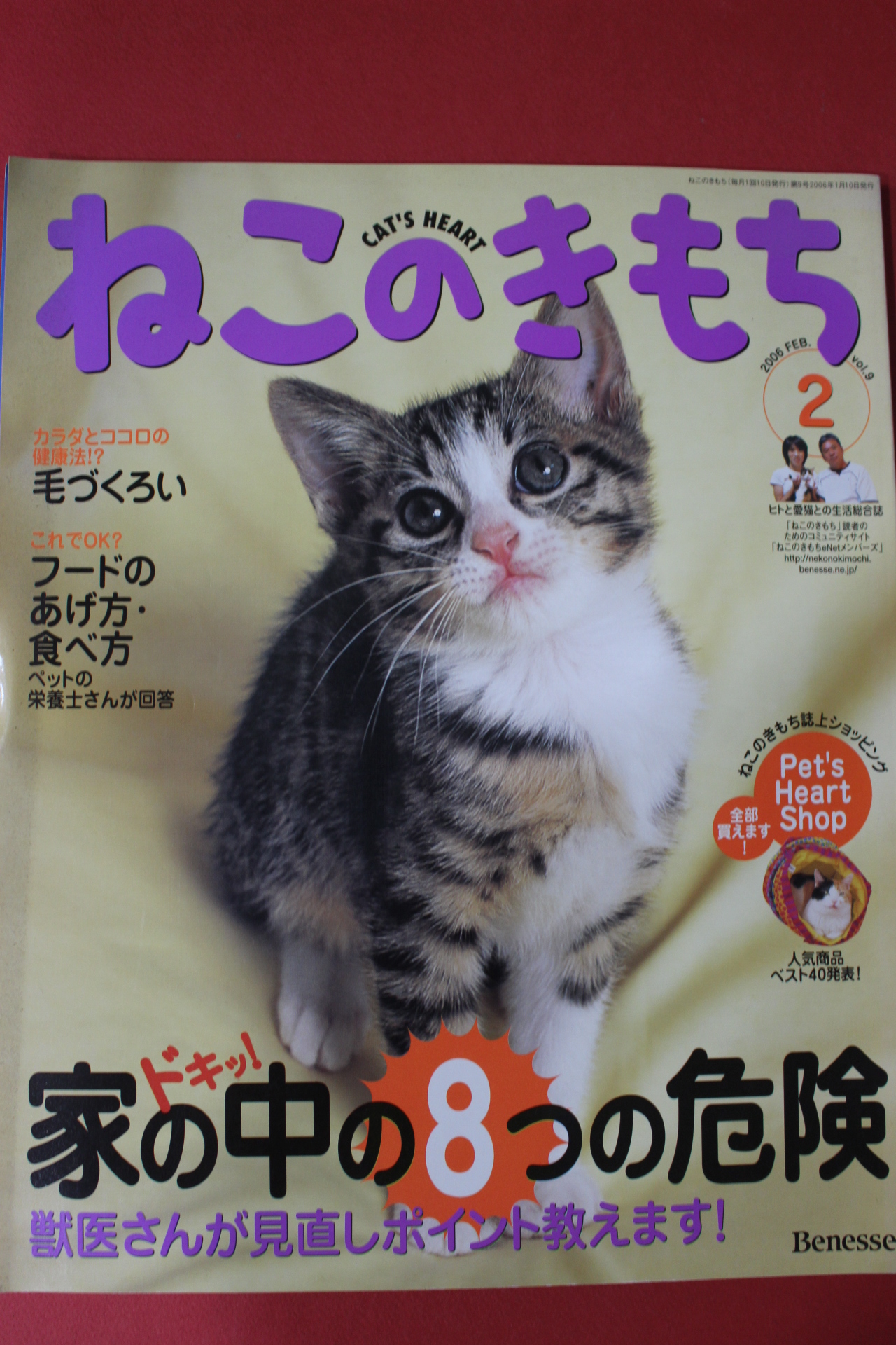 2006년 고양이마음 2월호