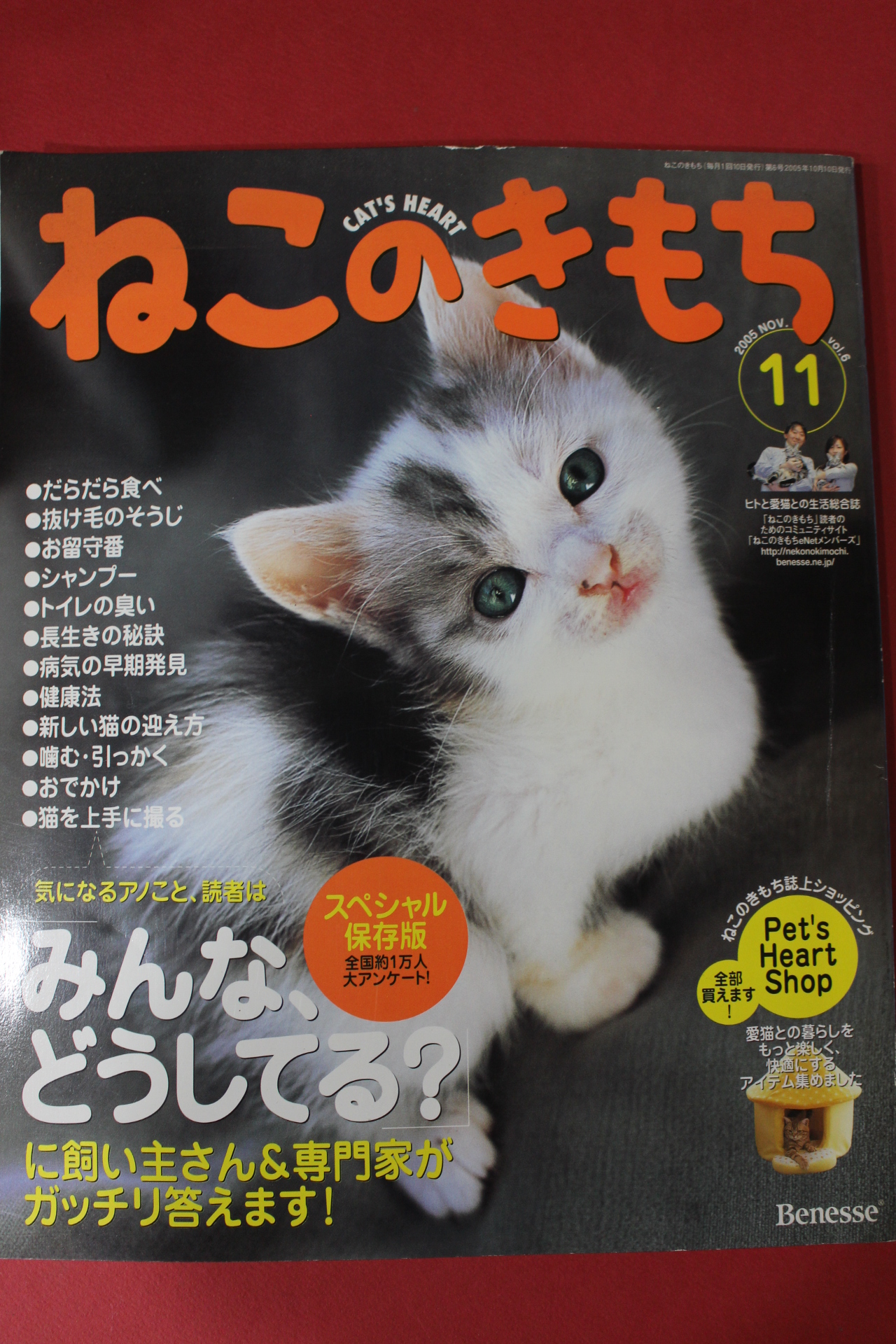 2005년 고양이마음 11월호