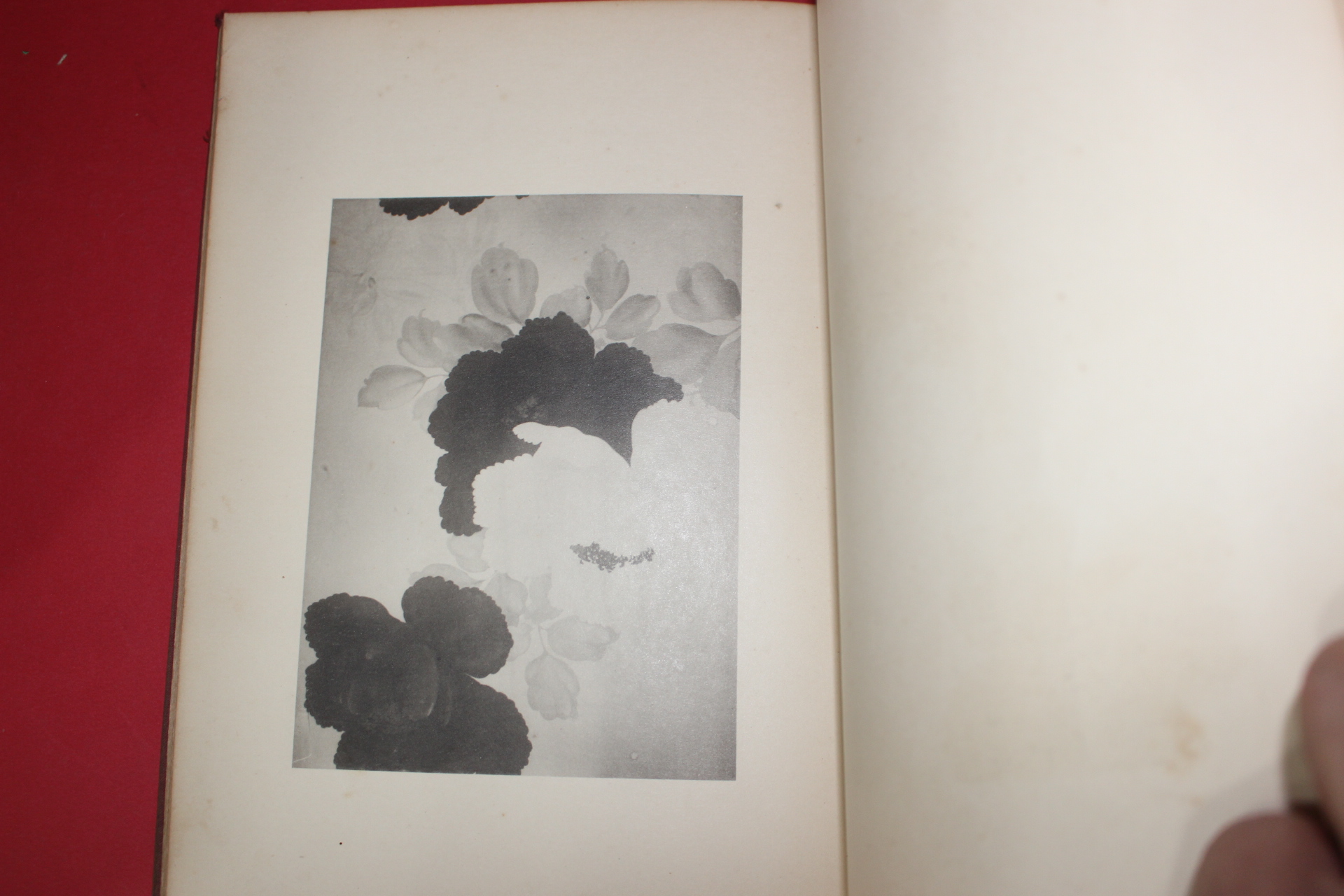 1924년(대정13년) 홍엽회(紅葉會) 도록