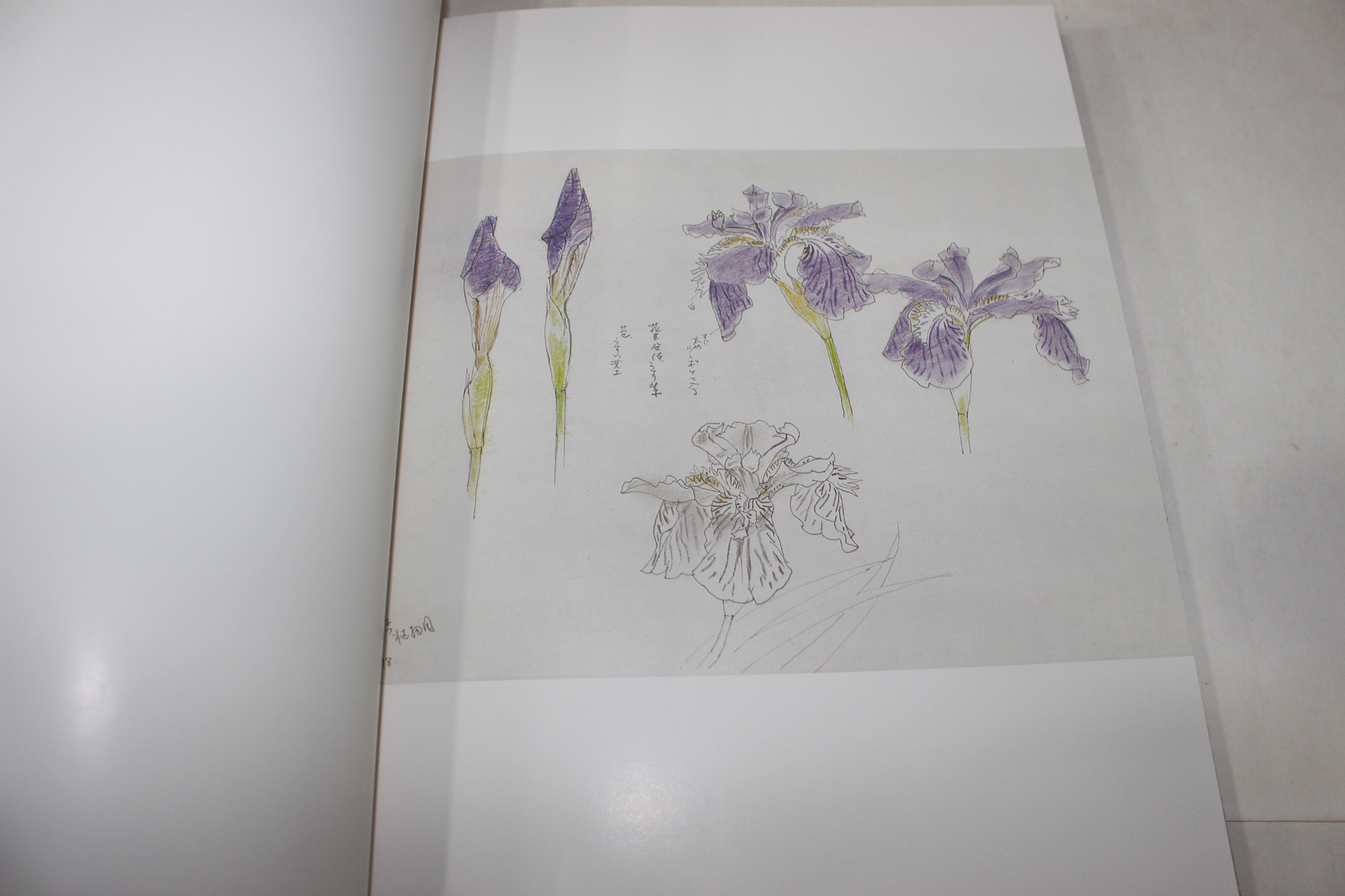 1978년(소화53년) 꽃의 소묘 花 素描 목하장(木下章)