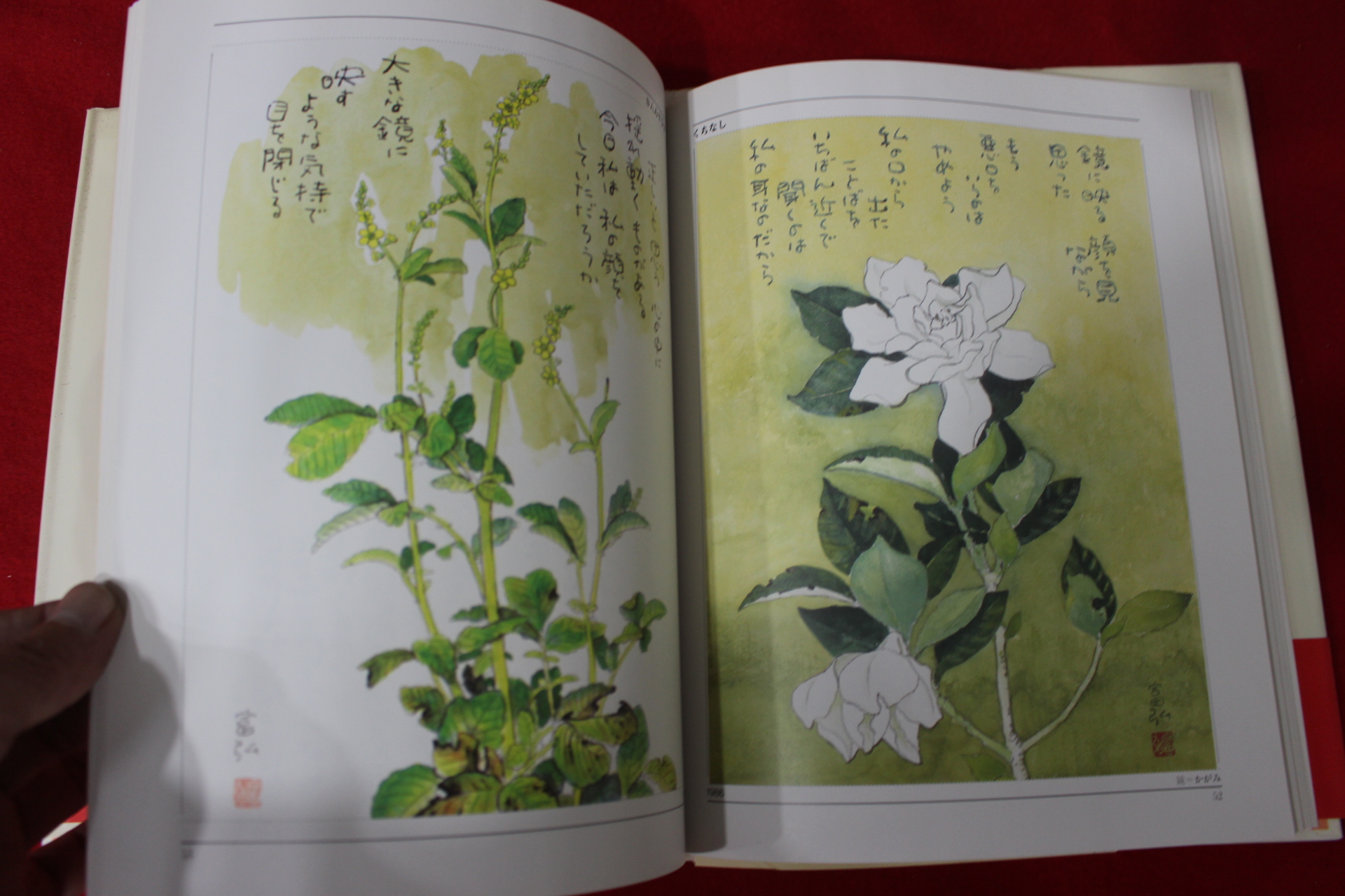 1989년 성야부홍(星野富弘) 꽃의 시화집