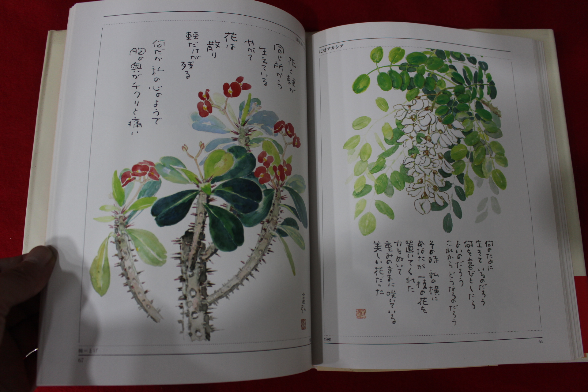 1989년 성야부홍(星野富弘) 꽃의 시화집