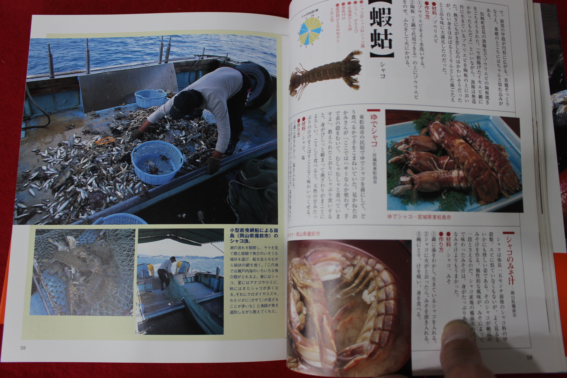 2005년 물고기 요리책