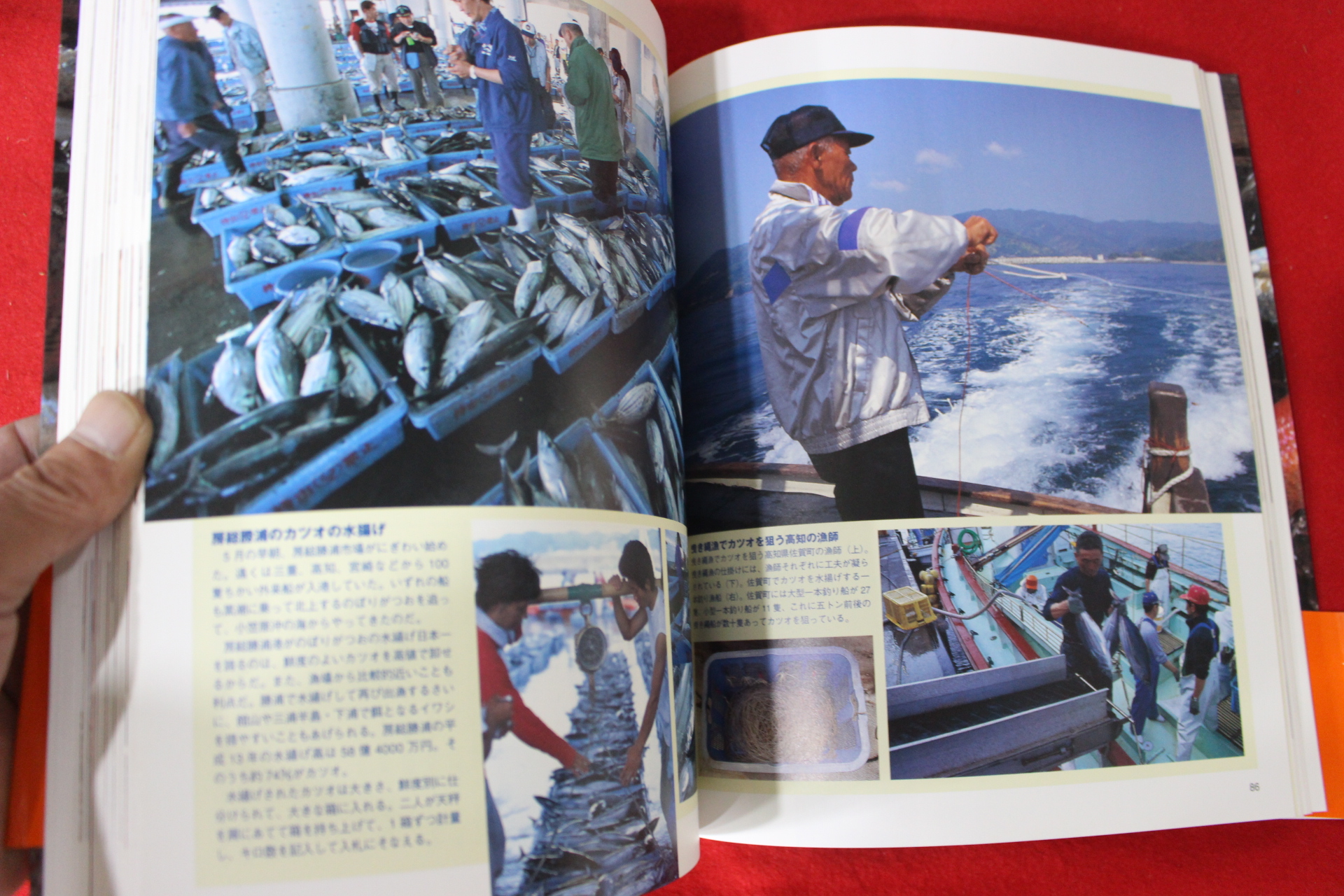 2005년 물고기 요리책