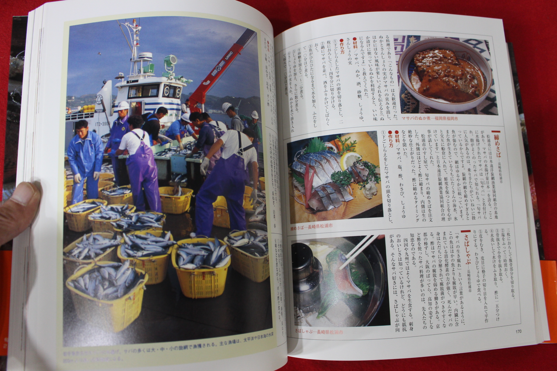 2005년 물고기 요리책