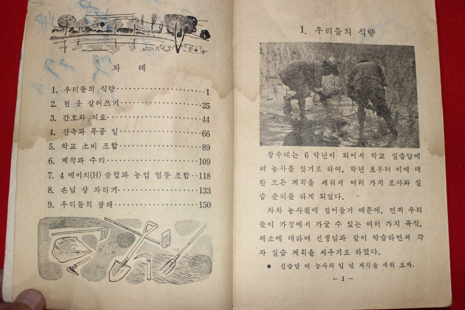 1962년 실과 6