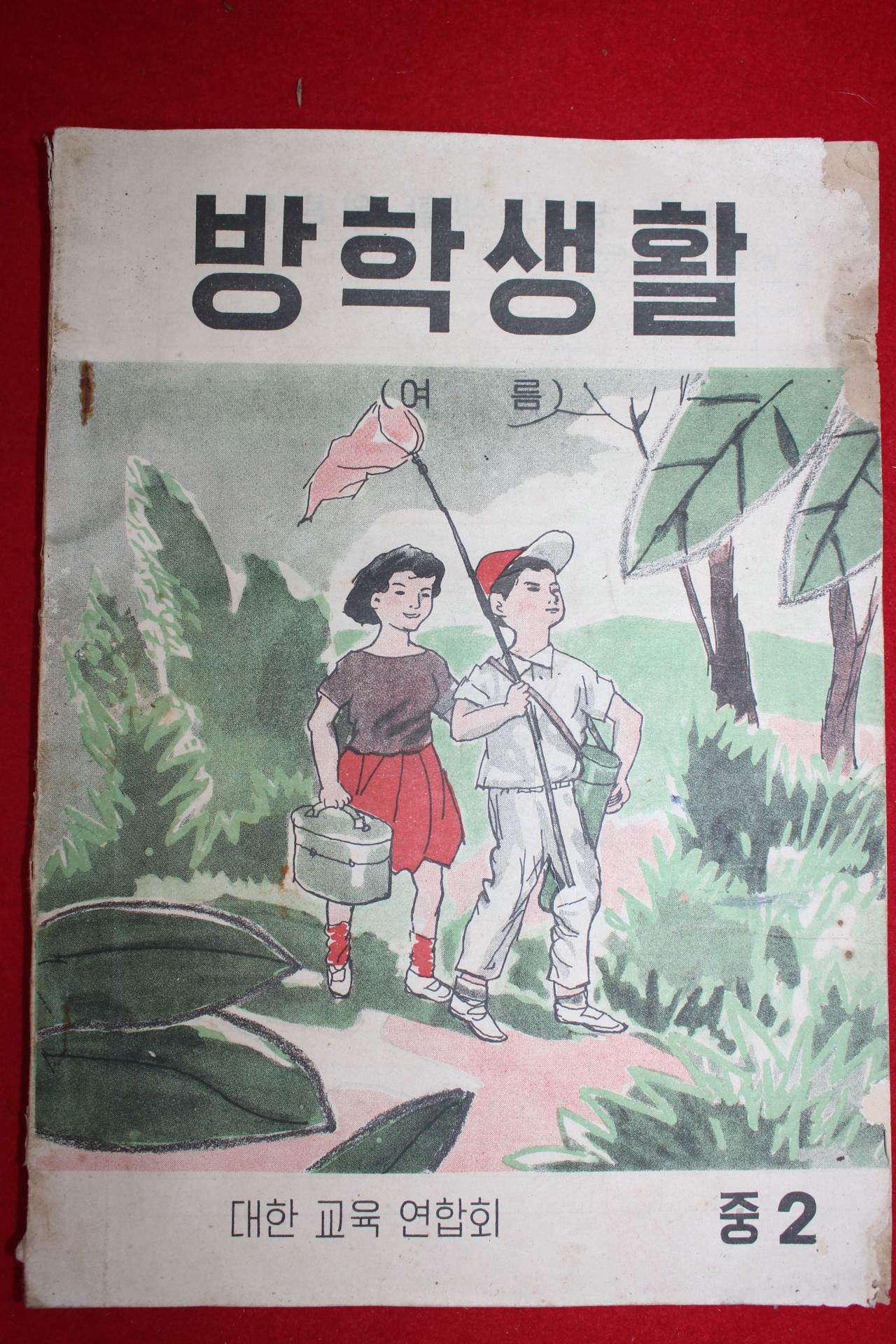 1964년 중학교 여름 방학생활 2학년