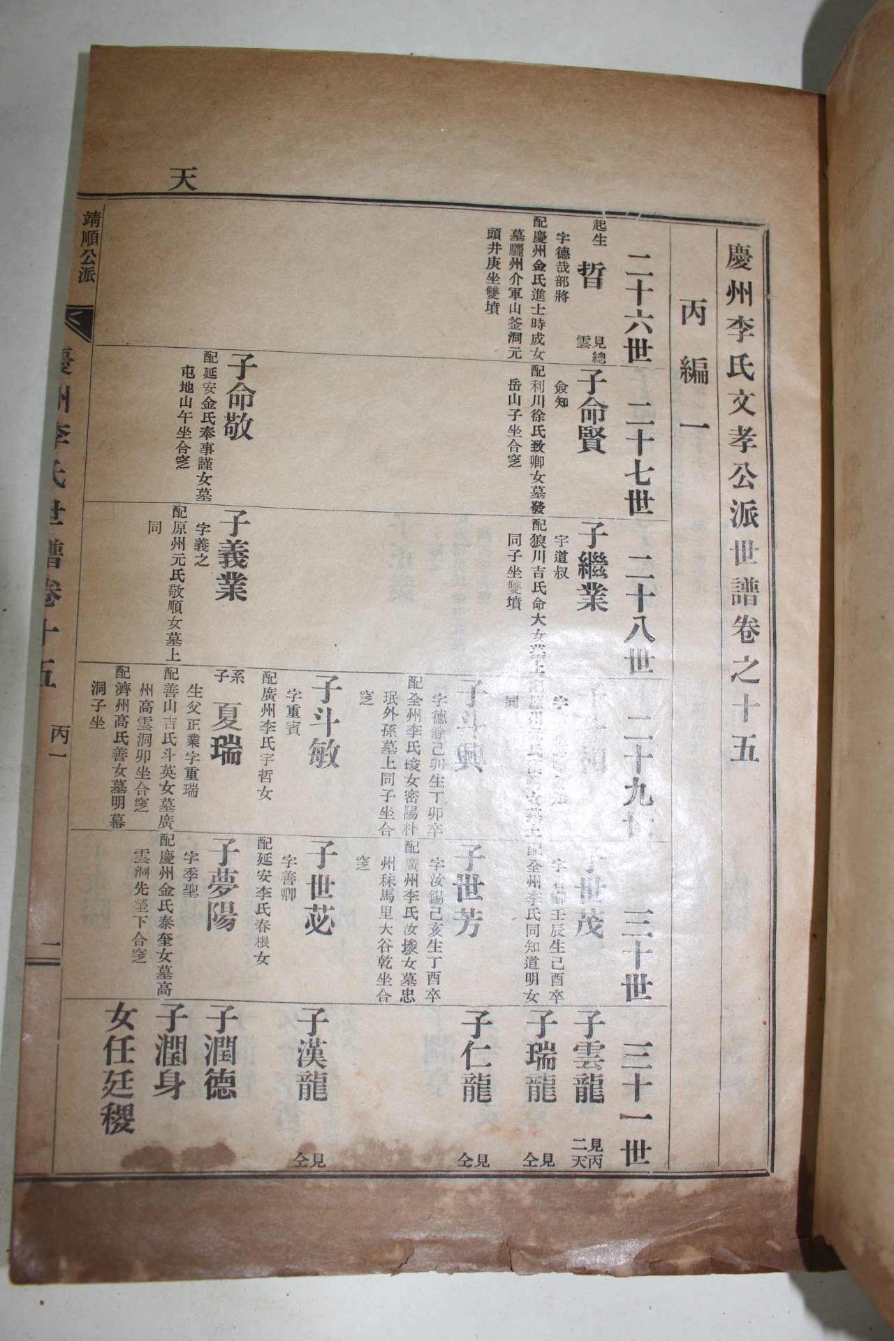 1956년 연활자본 경주이씨문효공파세보(慶州李氏文孝公派世譜)  7책