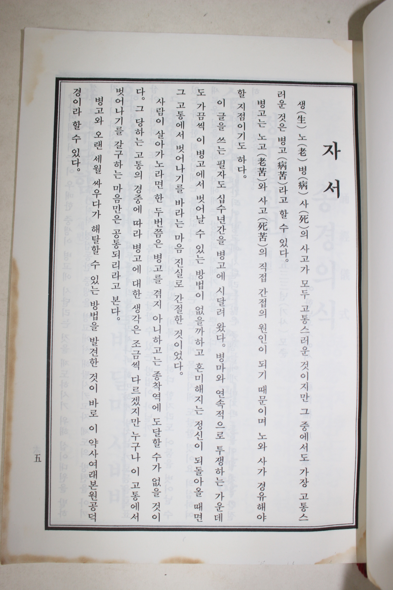 1993년 약사여래본원경