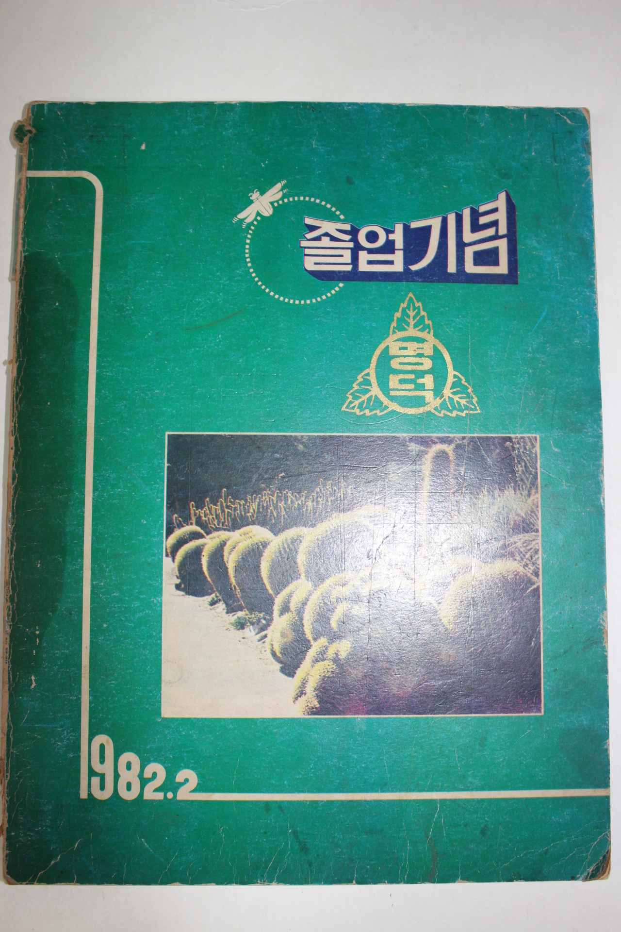 1982년 대구명덕국민학교 제37회 졸업기념 앨범