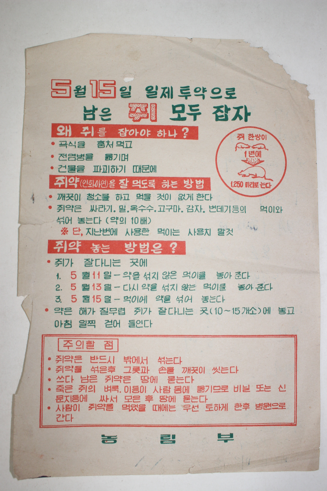 농림부 5월15일 일제투약으로 남은 쥐 모두 잡자 전단지