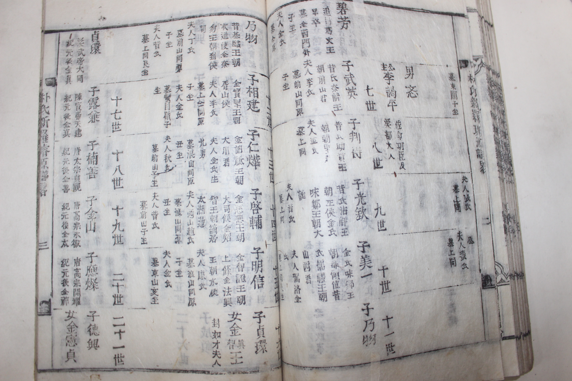 1927년 목활자본 밀양박씨두정공파세보(密陽朴氏糾正公派世譜) 21책