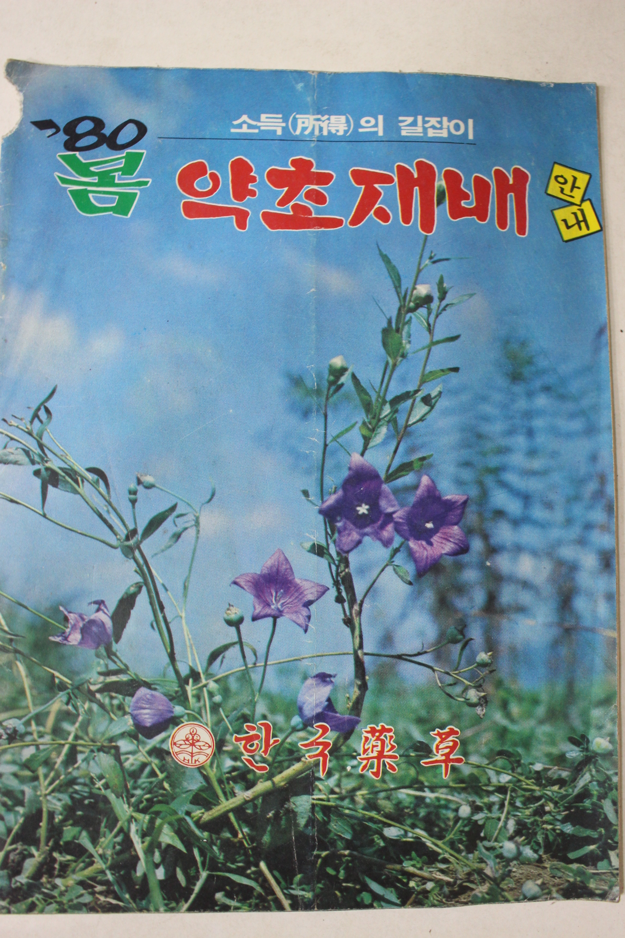 1980년 봄 약초재배안내
