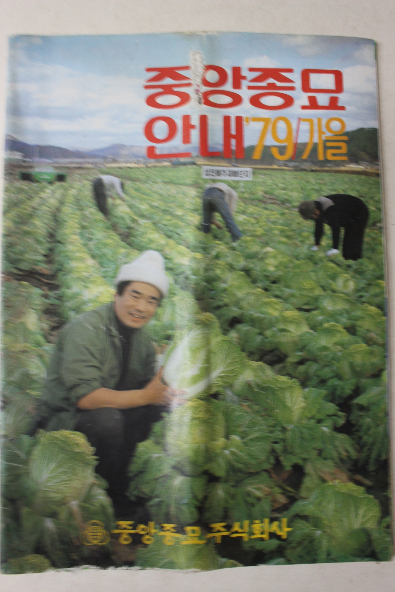 1979년 중앙종묘안내 가을