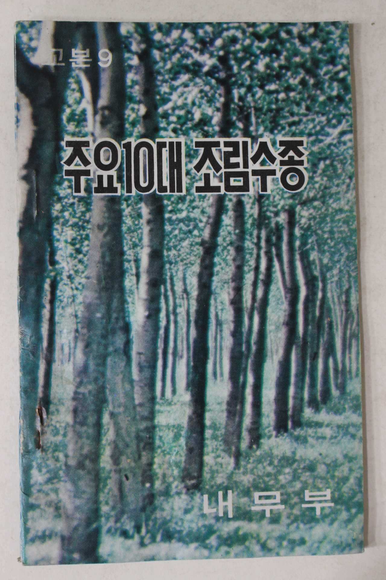 1973년 내무부 주요10대 조림수종 (근대사자료)