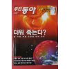 2007년5월15일 주간동아