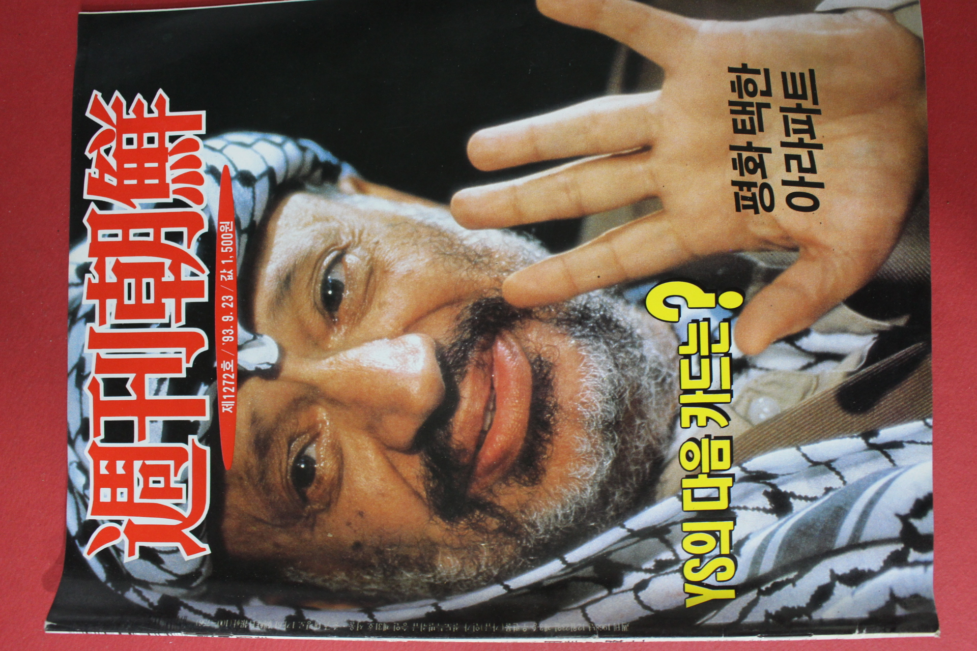 1993년9월23일 주간조선