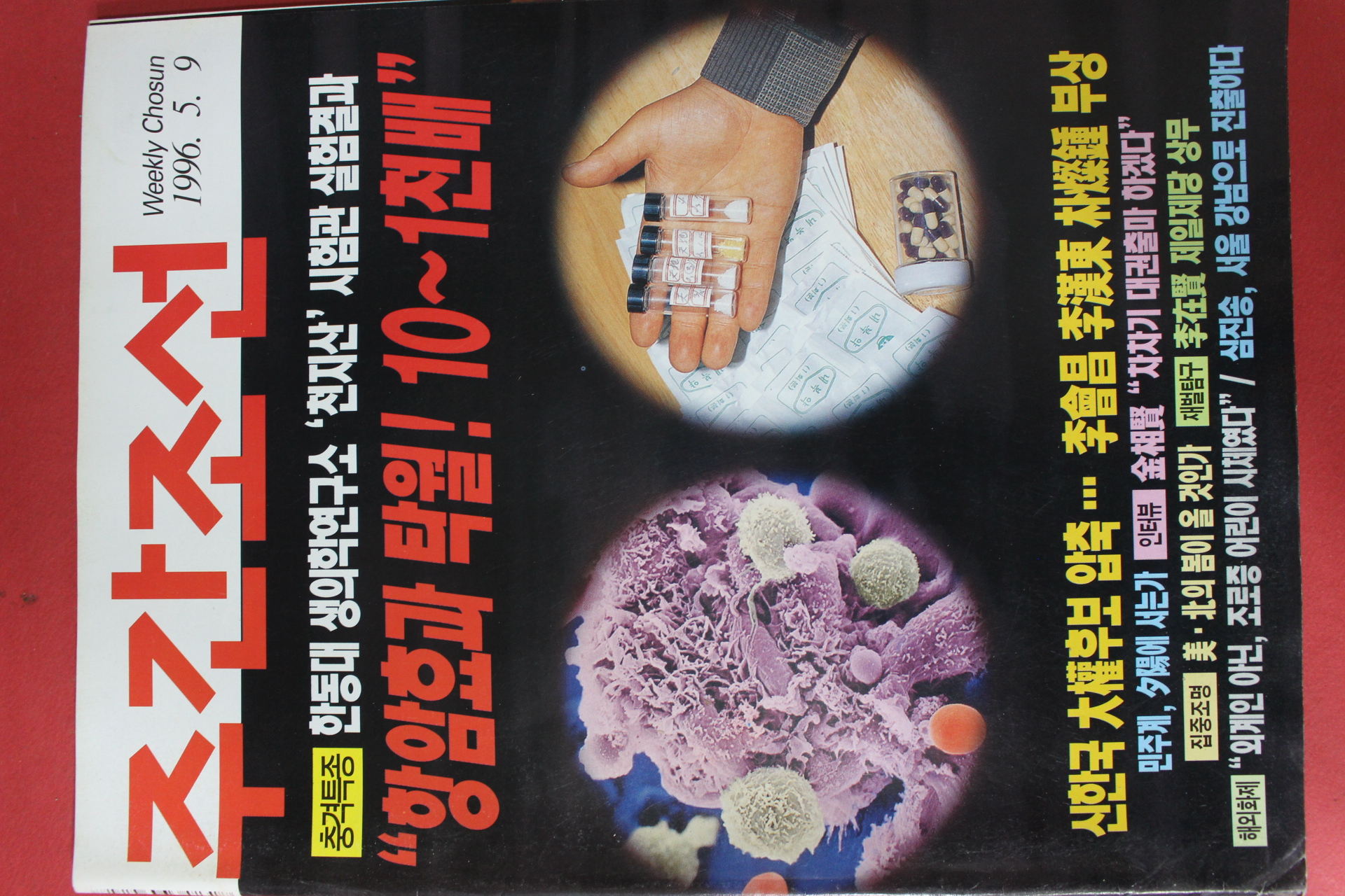 1996년5월9일 주간조선
