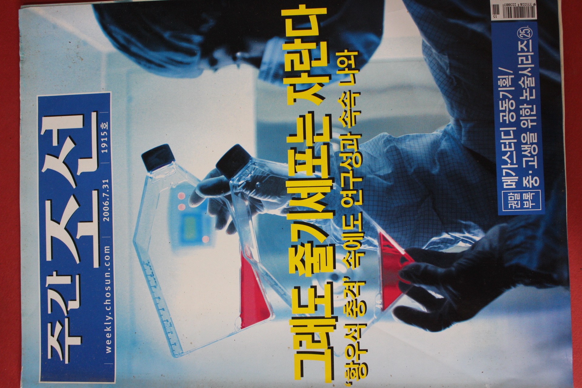 2006년7월31일 주간조선
