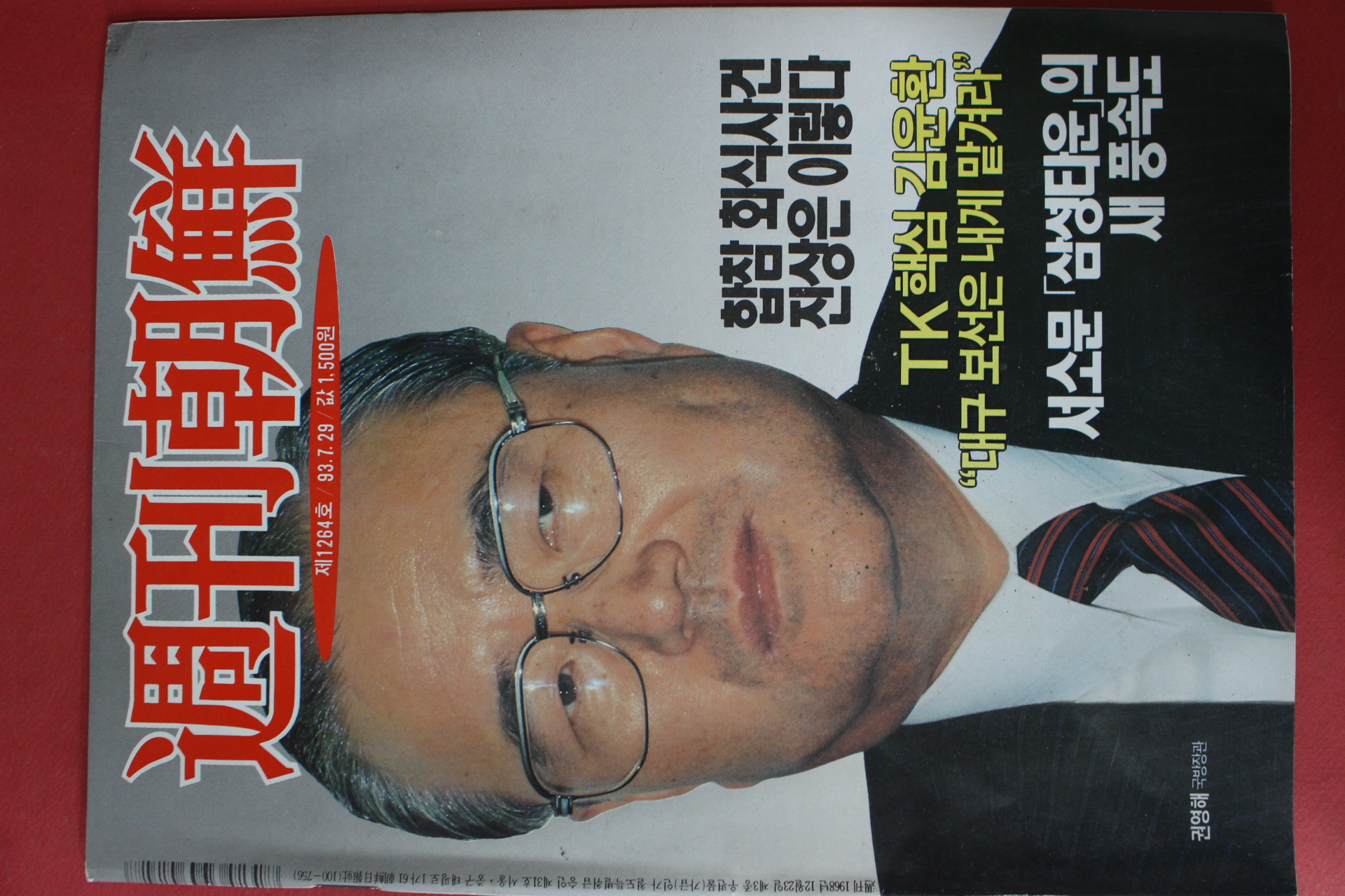 1993년7월29일 주간조선