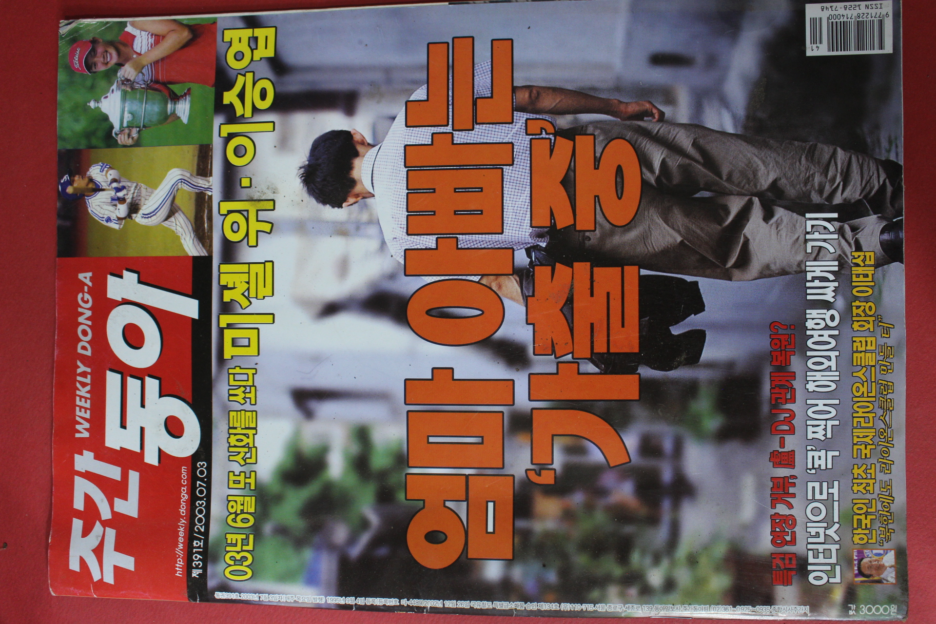 2003년7월3일 주간동아