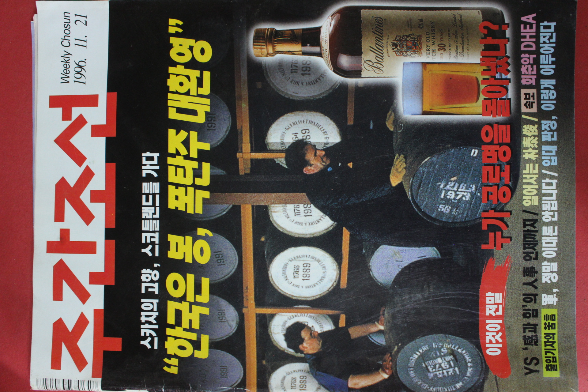 1996년11월21일 주간조선