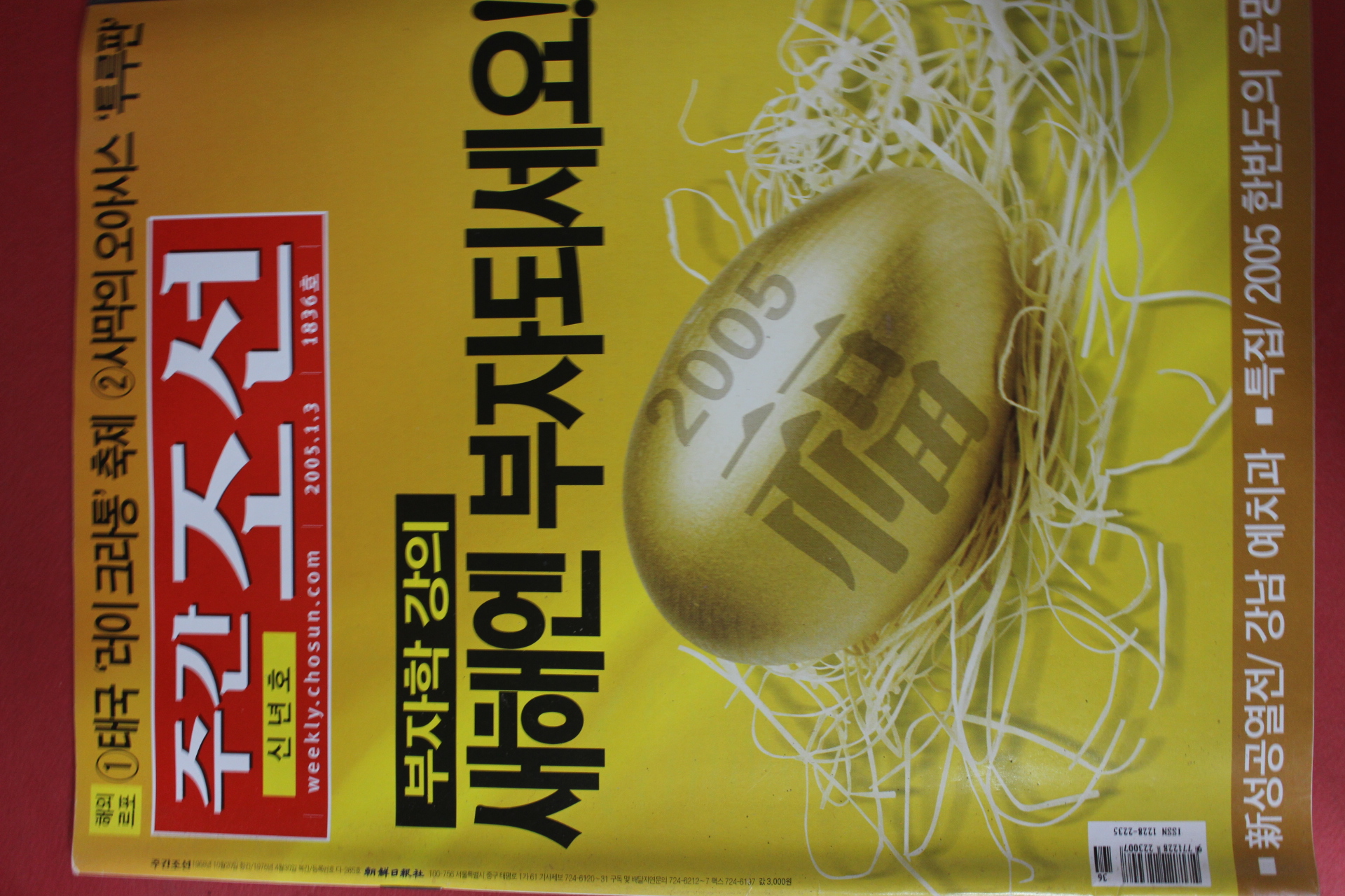 2005년1월3일 주간조선