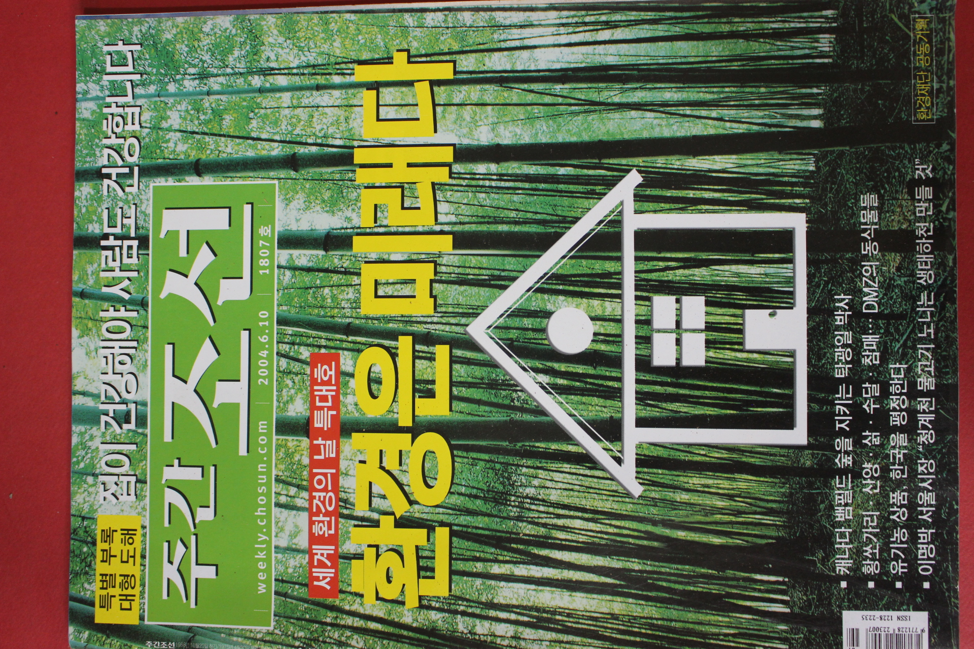 2004년6월10일 주간조선