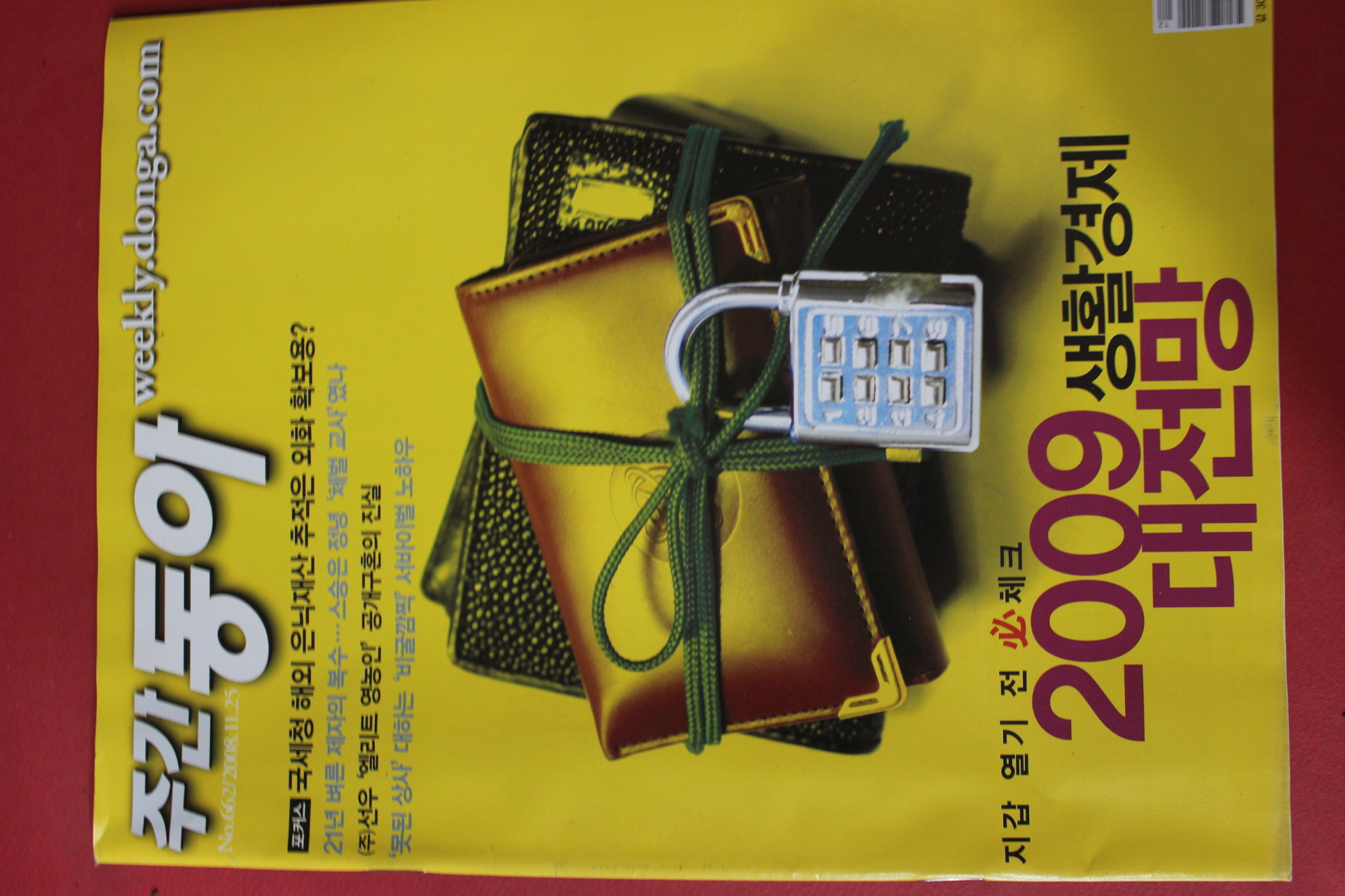 2008년11월25일 주간동아