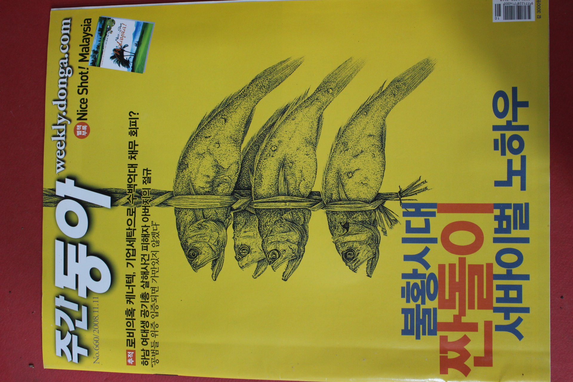 2008년11월11일 주간동아