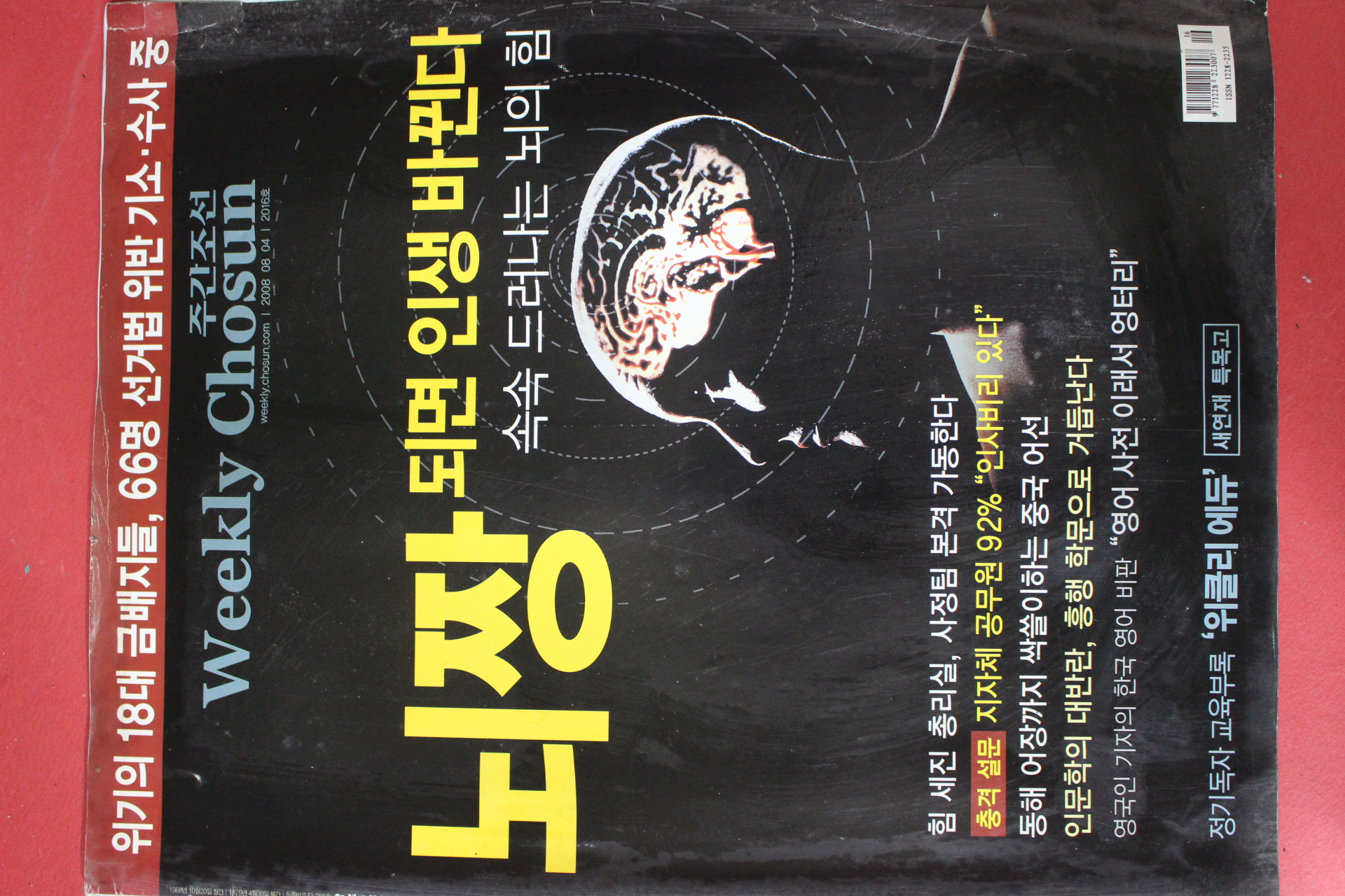 2008년8월4일 주간조선
