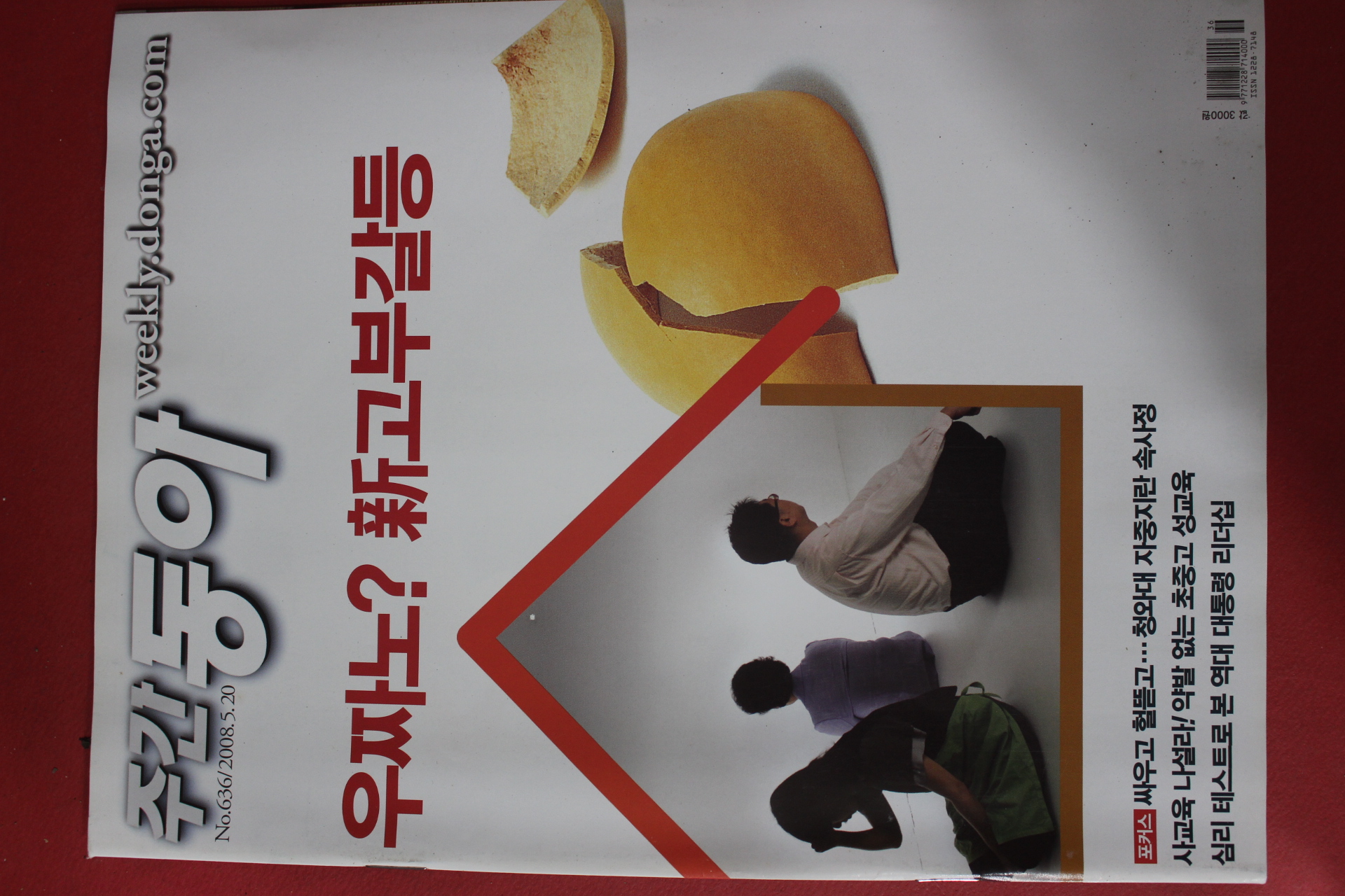 2008년5월20일 주간동아