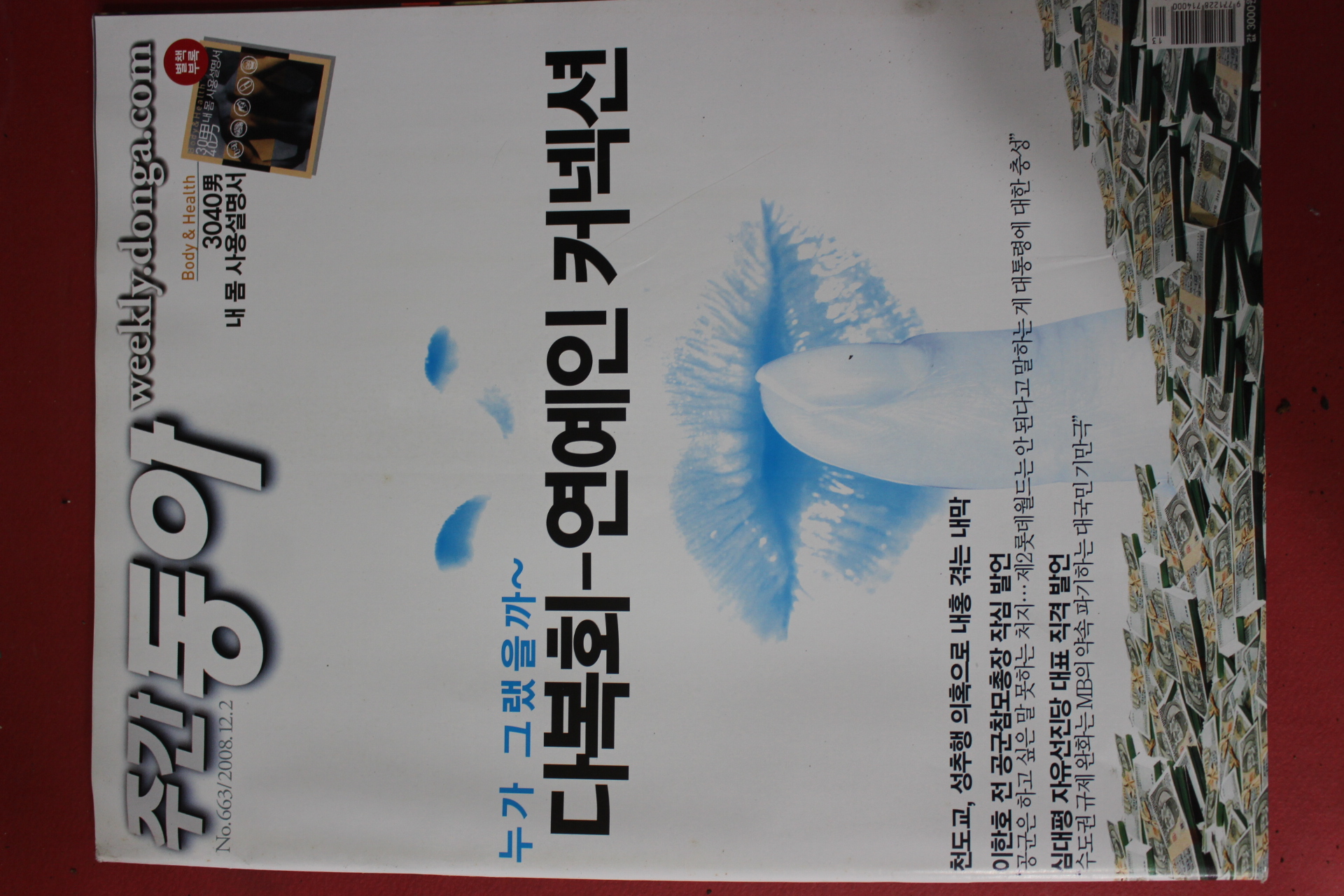 2008년12월2일 주간동아