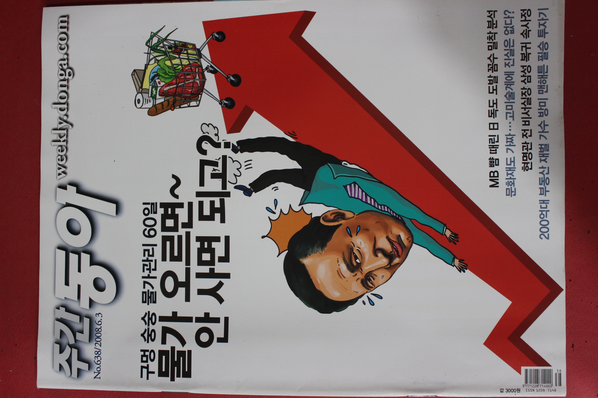 2008년6월3일 주간동아