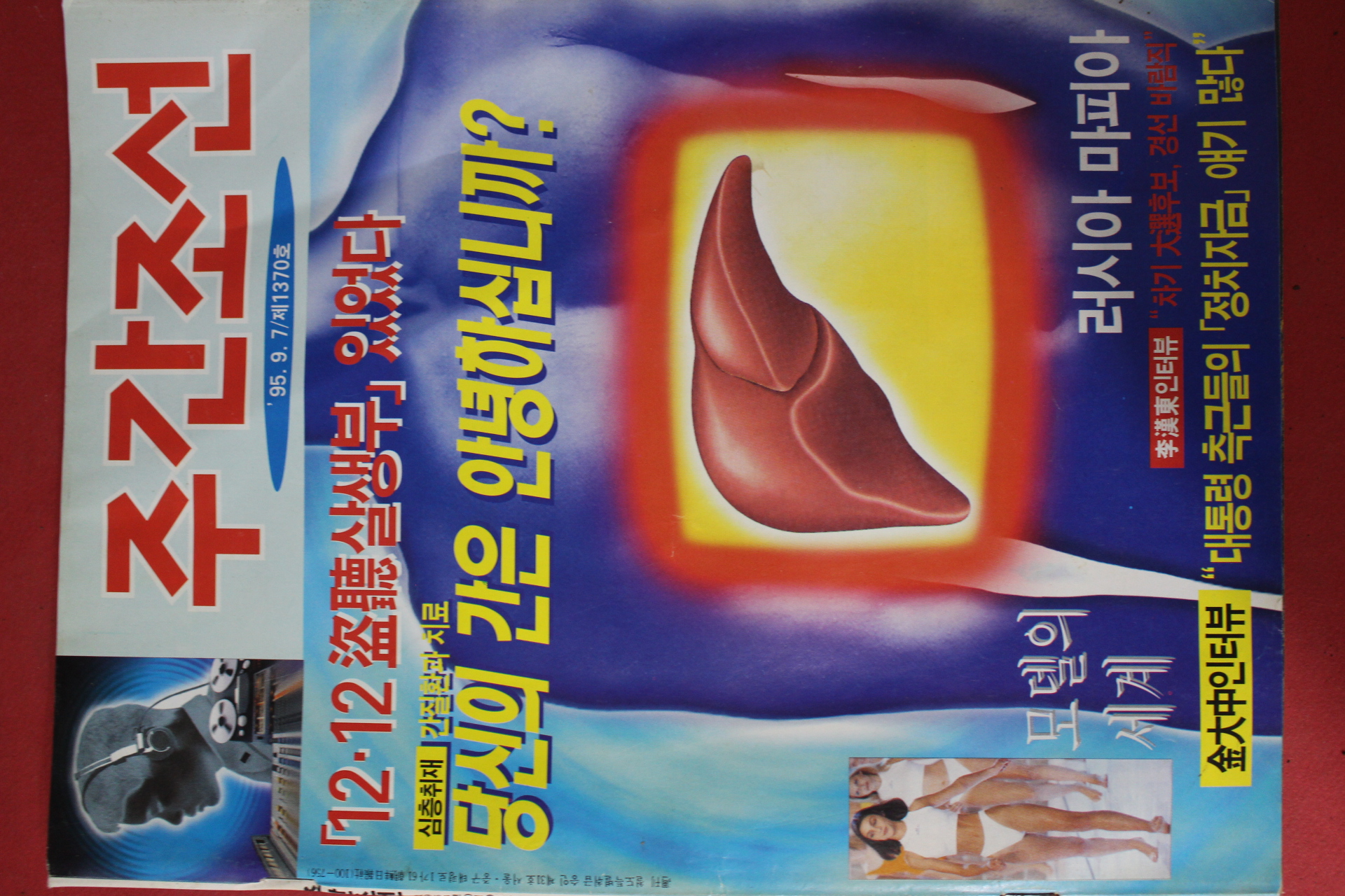 1995년9월7일 주간조선