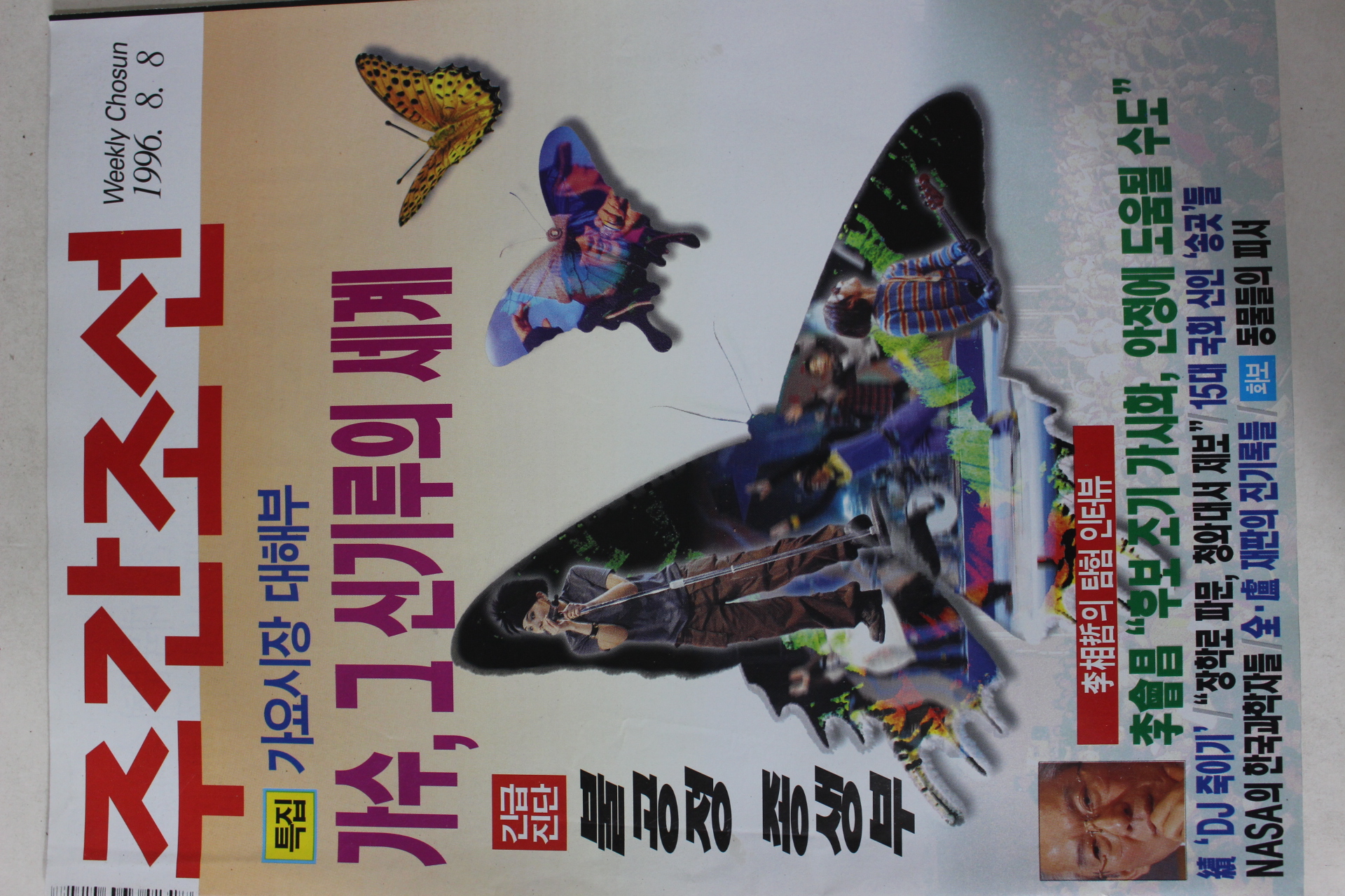 1996년8월8일 주간조선