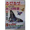 1996년8월8일 주간조선