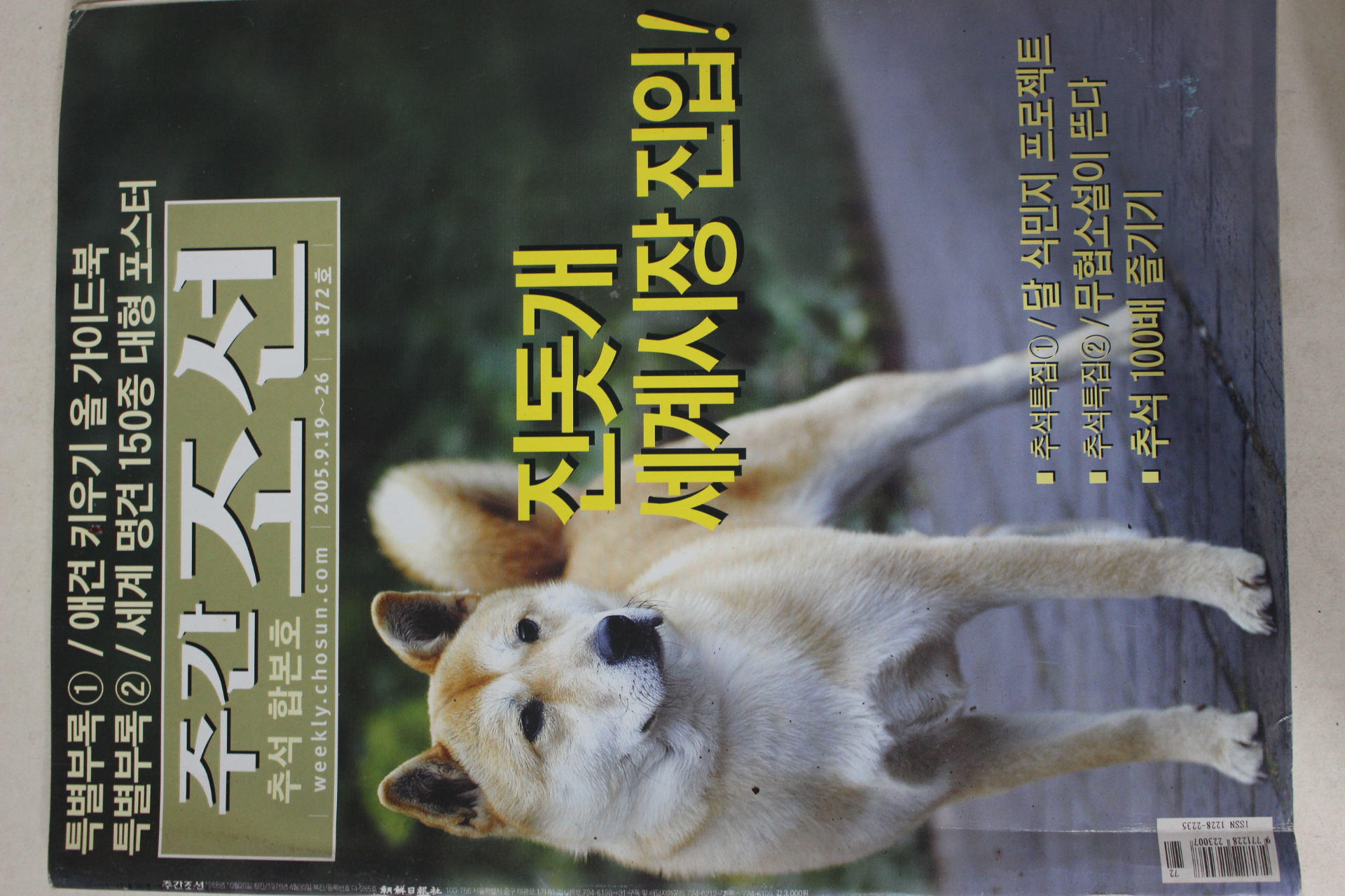 2005년9월19일 주간조선