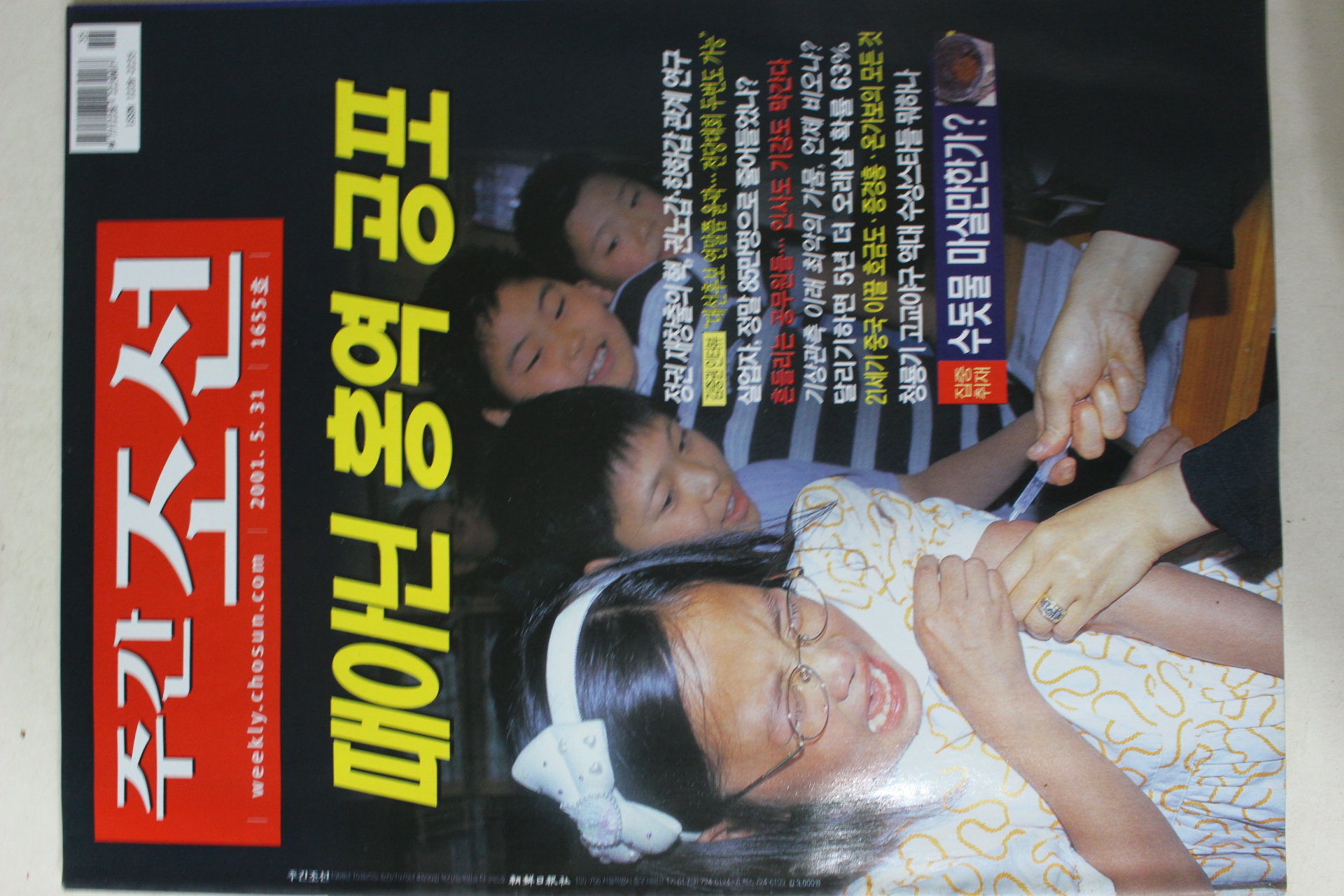 2001년5월31일 주간조선
