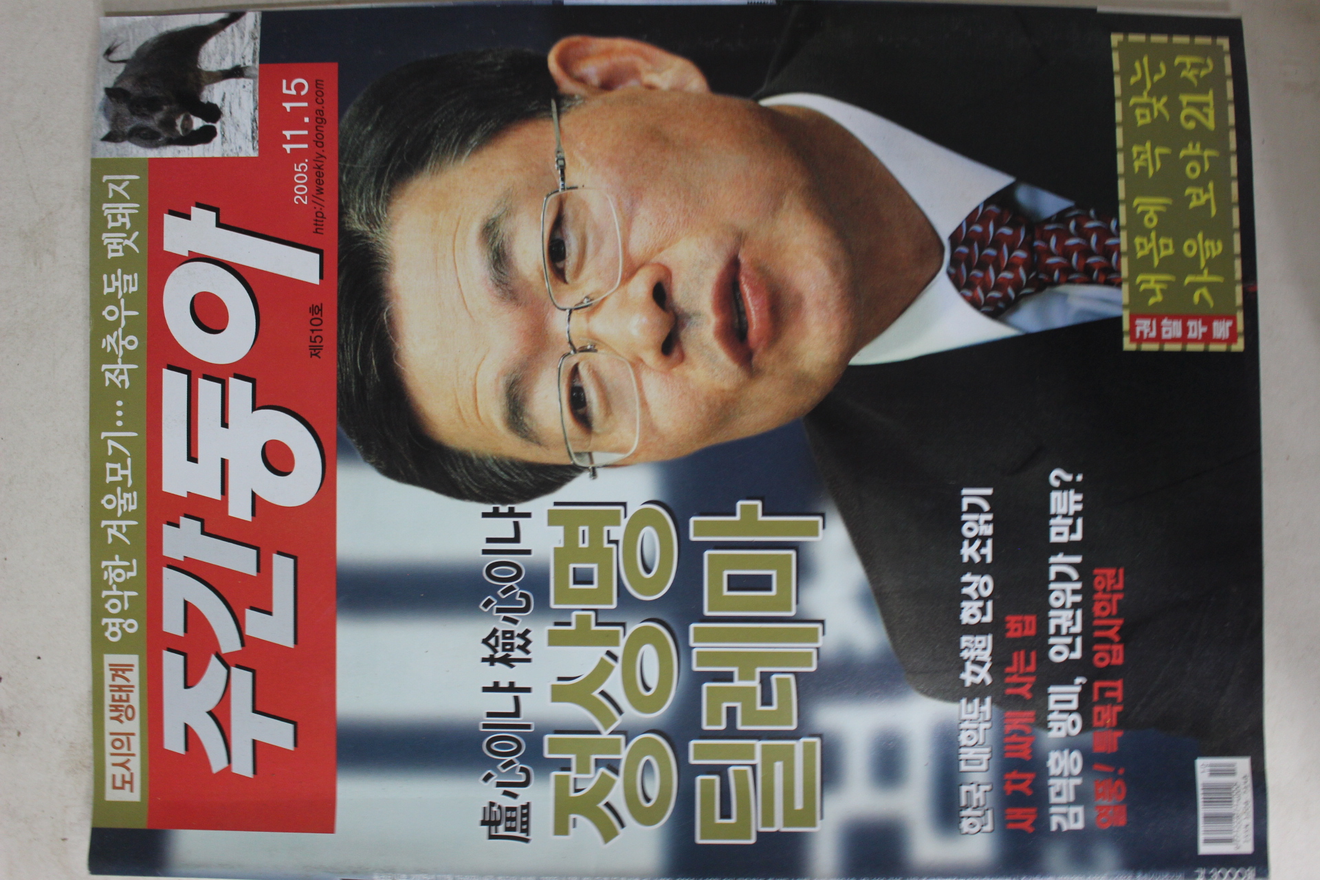 2005년11월15일 주간동아