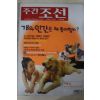 2001년8월16일 주간조선