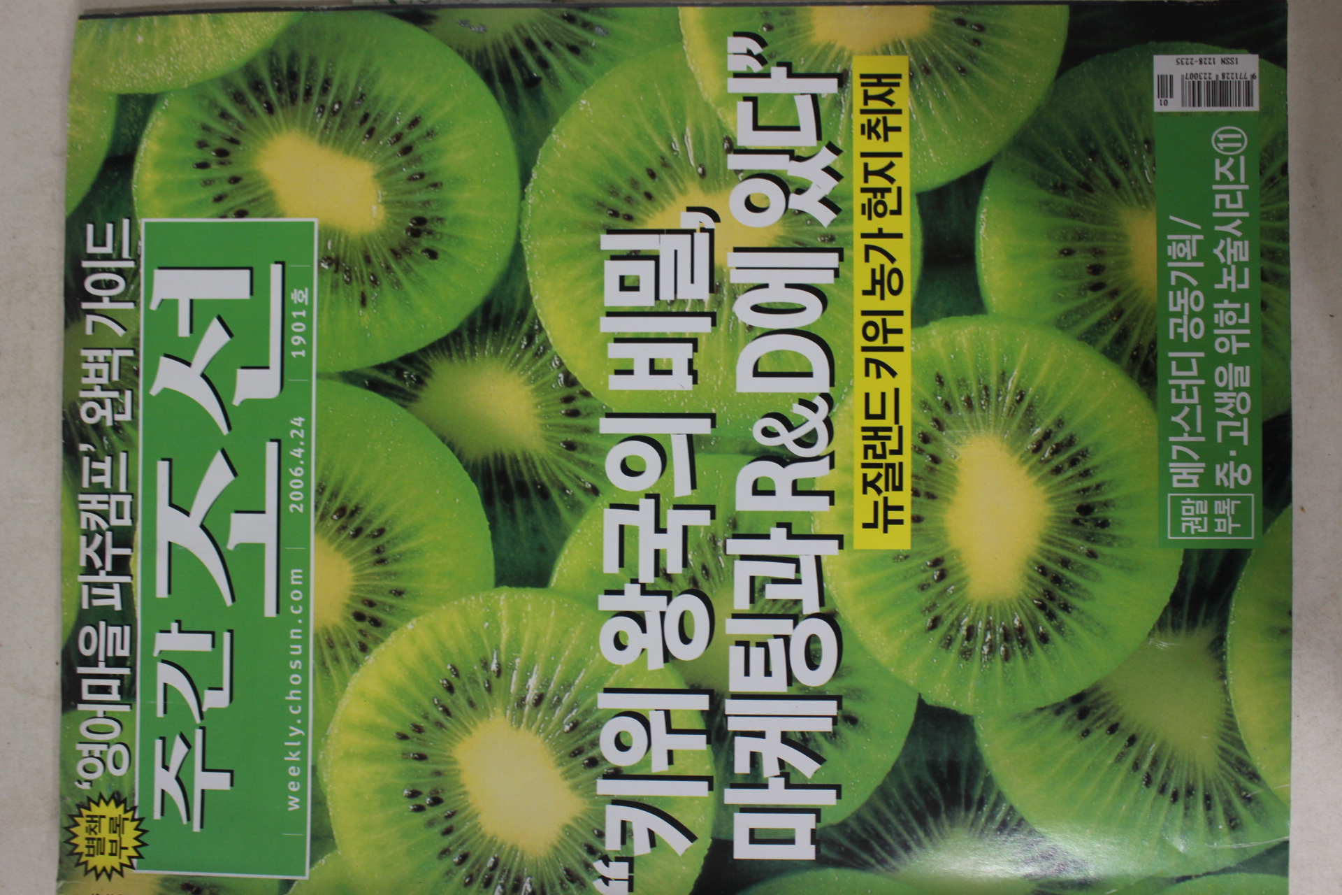 2006년4월24일 주간조선