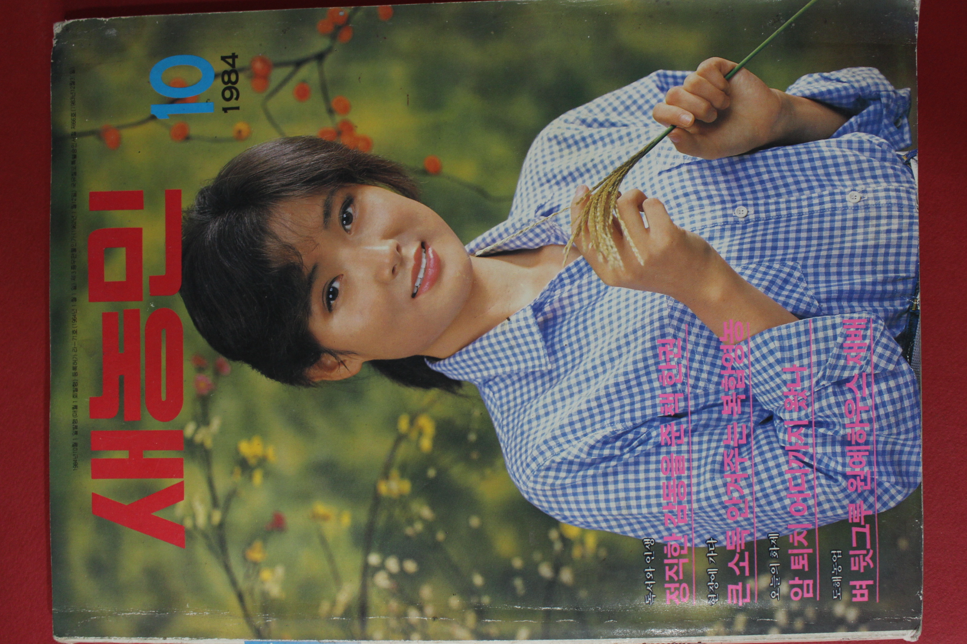 1984년 새농민 10월호
