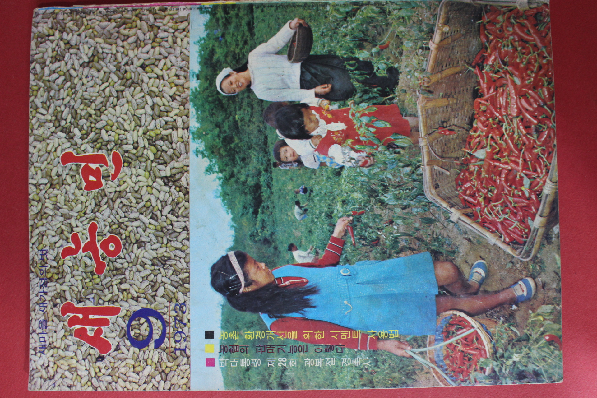 1973년 새농민 9월호