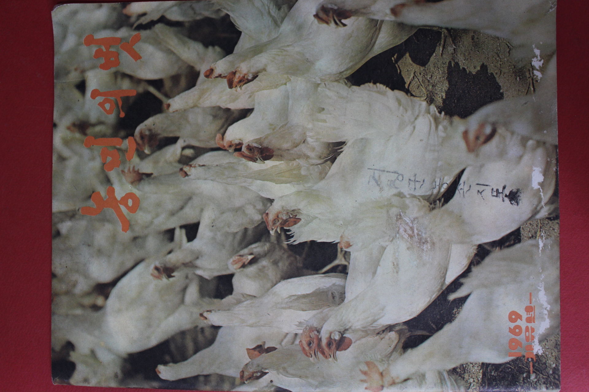 1969년 기유년 농민의 벗