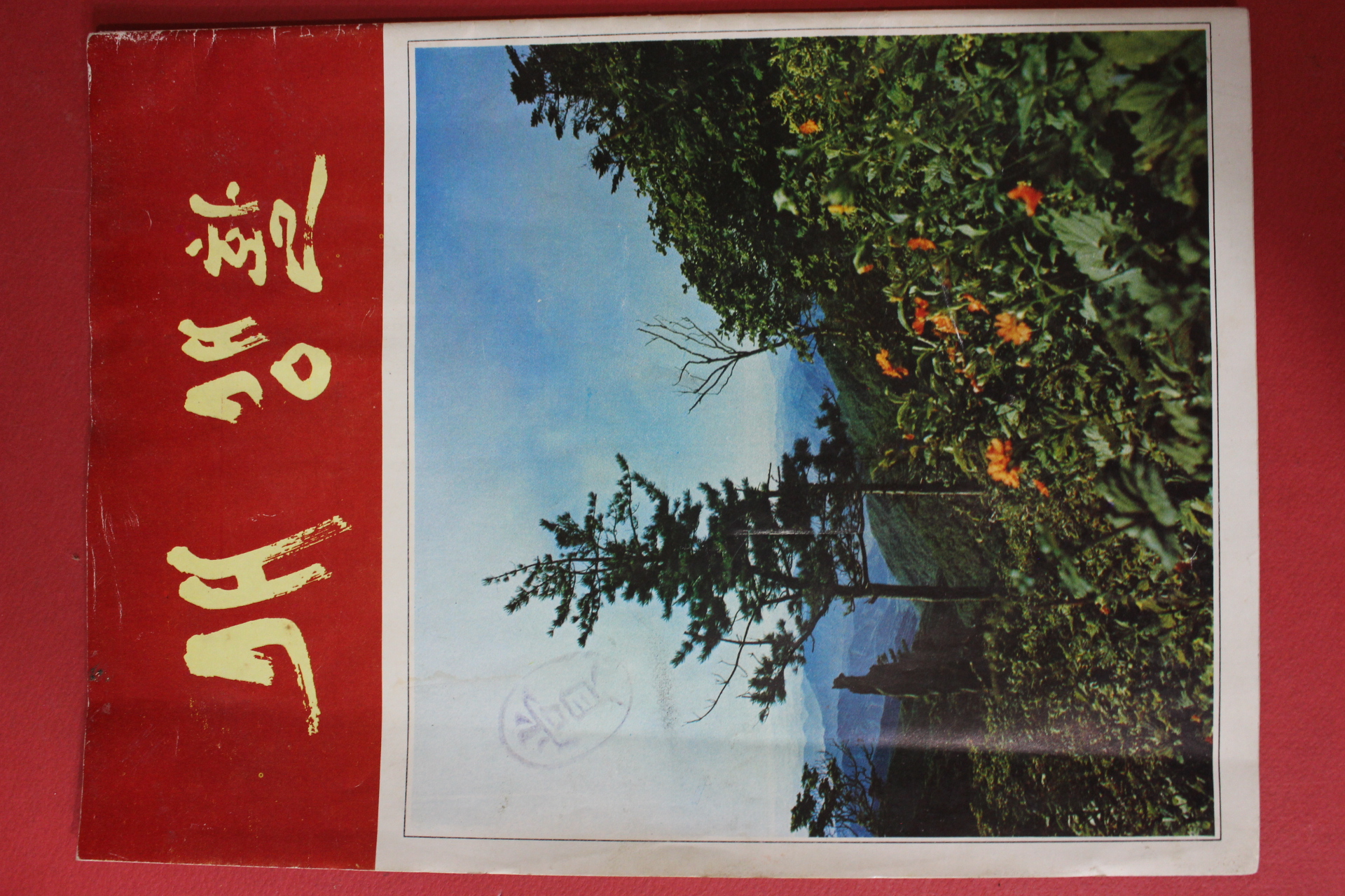 1978년 새 생활