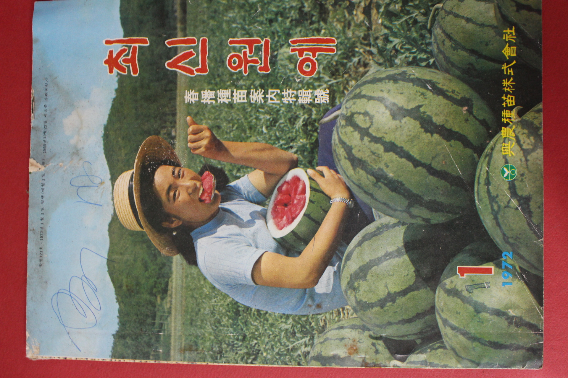 1972년 최신원예 1월호