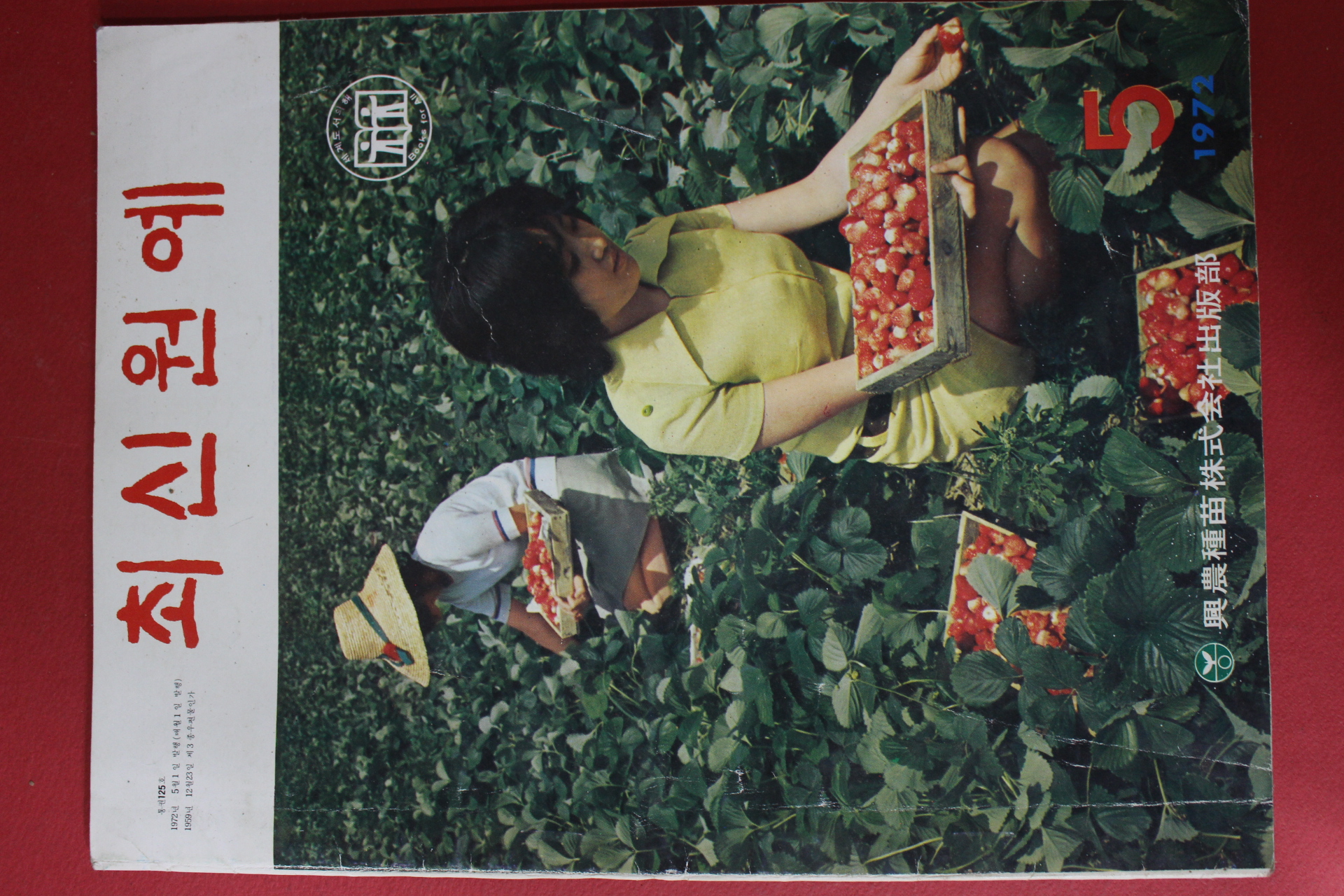 1972년 최신원예 5월호