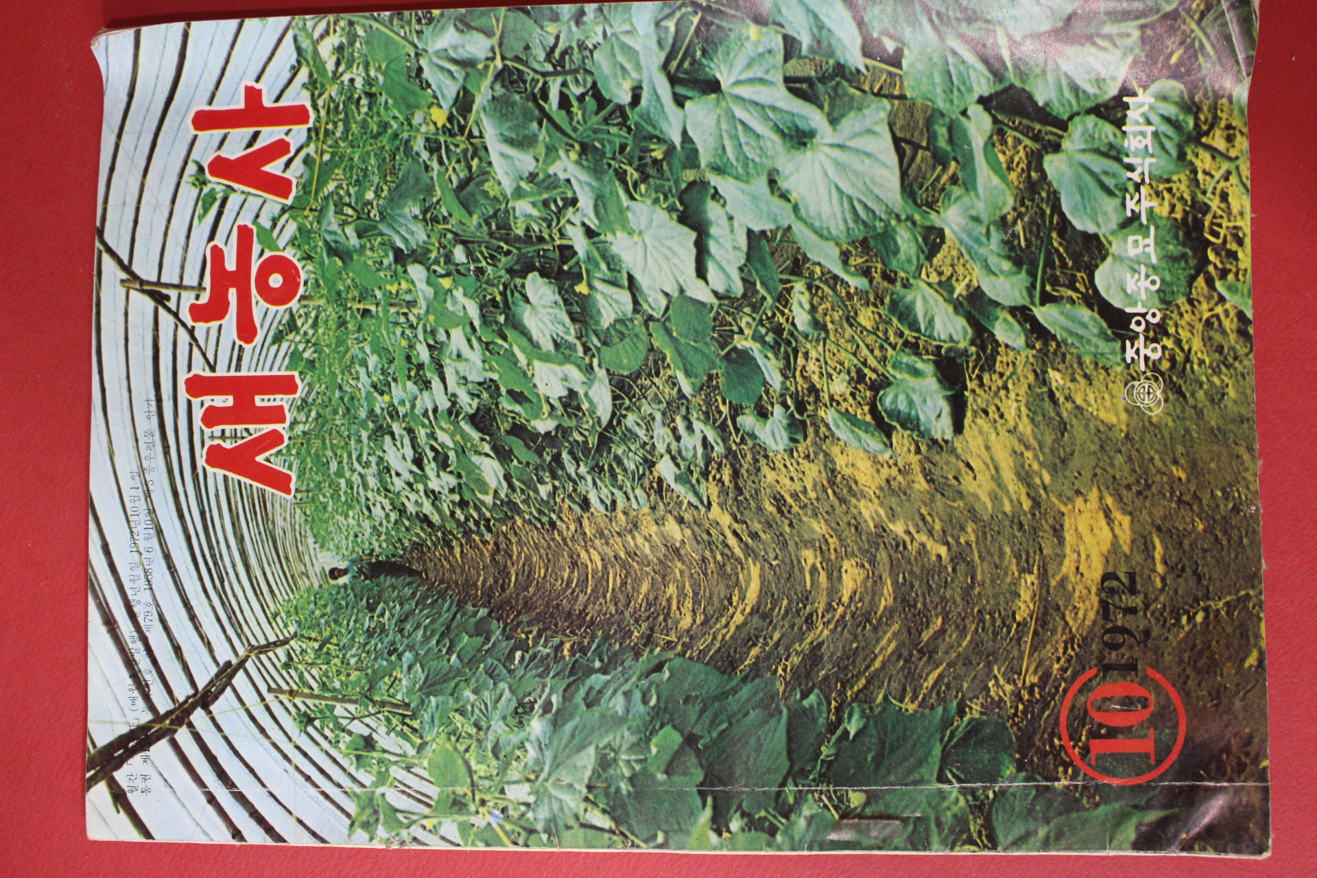 1972년 새농사 10월호