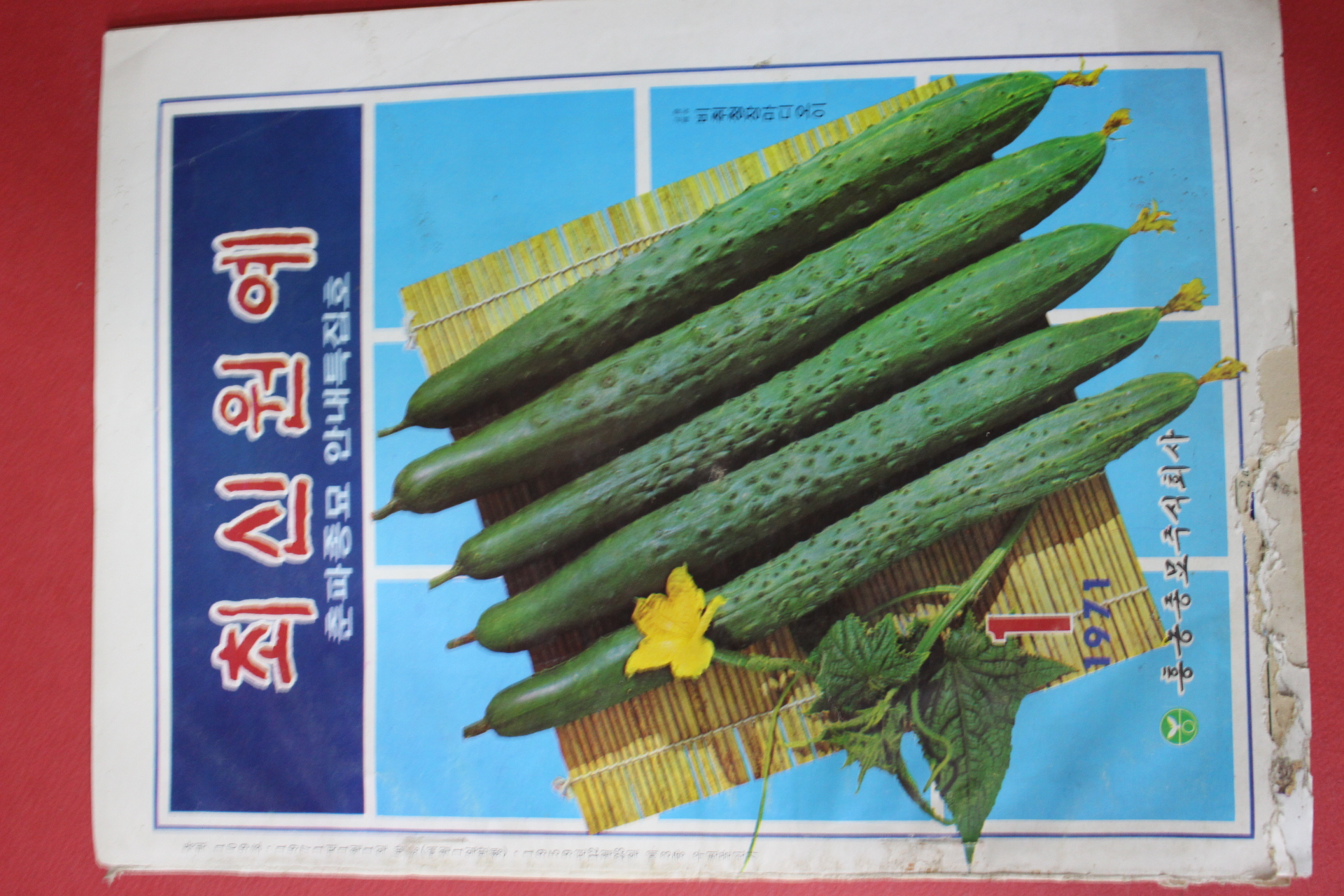 1971년 최신원예 1월호